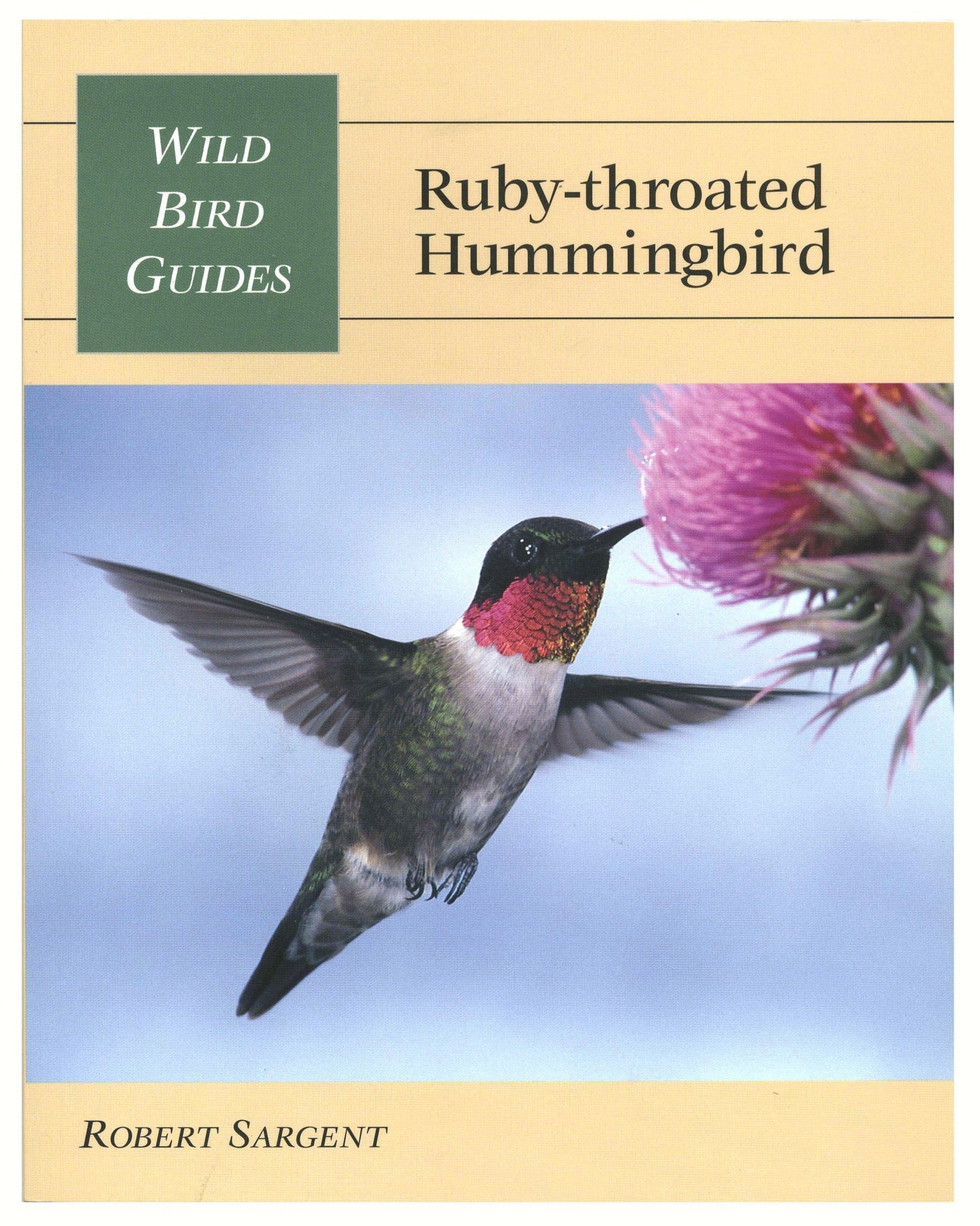 Ruby-Throated Hummingbird - 8847
