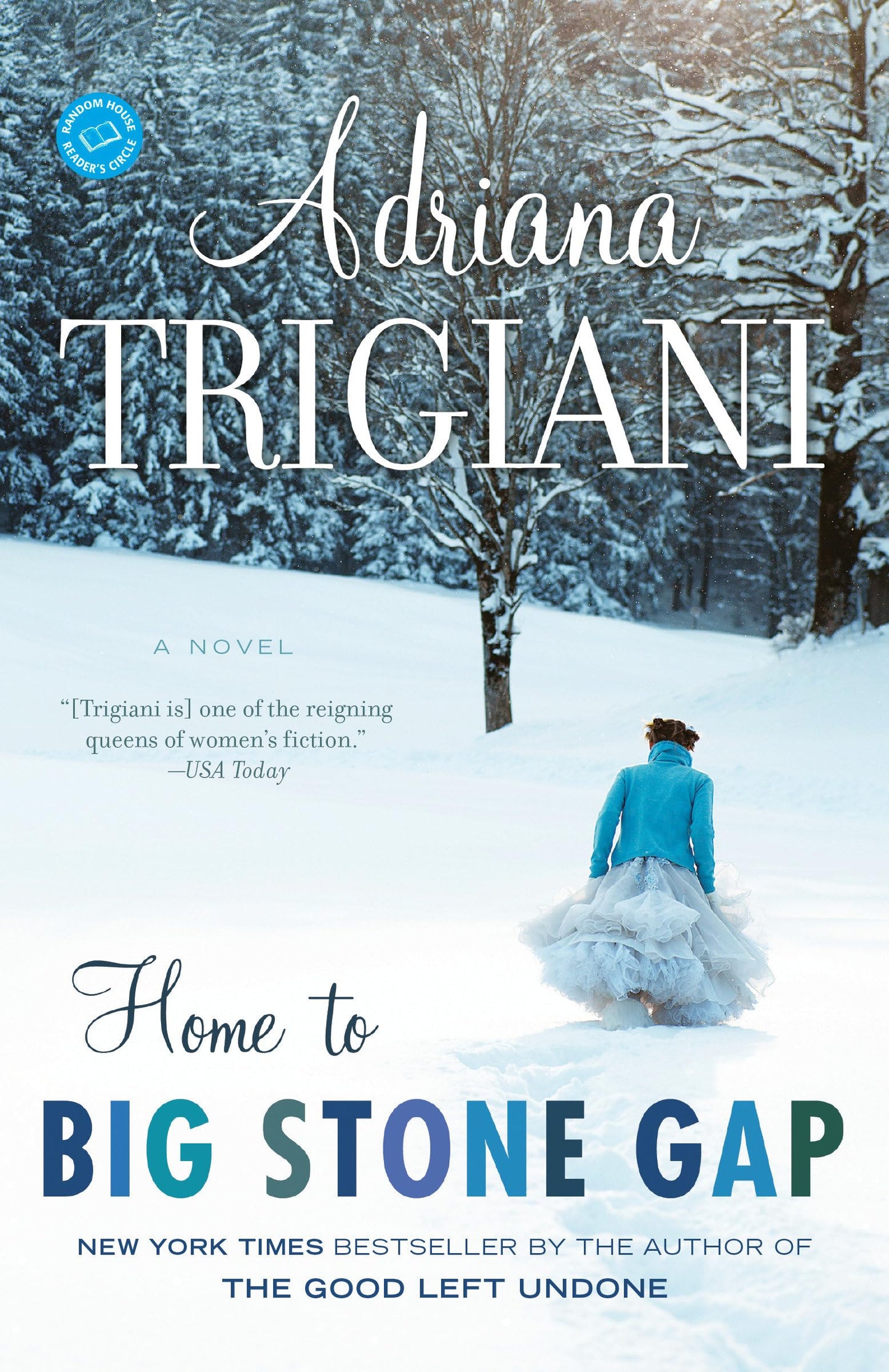 Home to Big Stone Gap: A Novel The Happy Book Stack