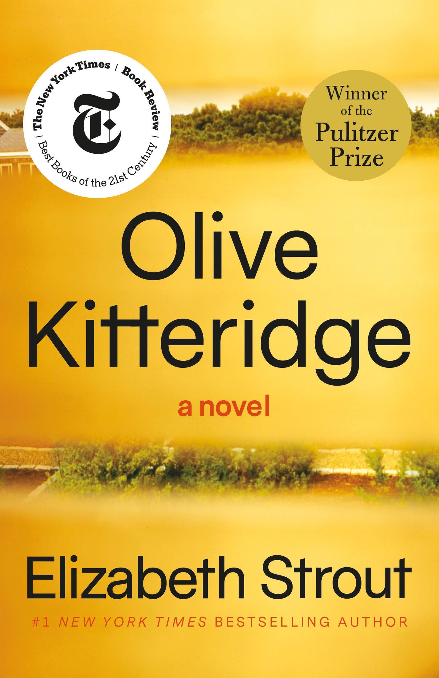 Olive Kitteridge The Happy Book Stack