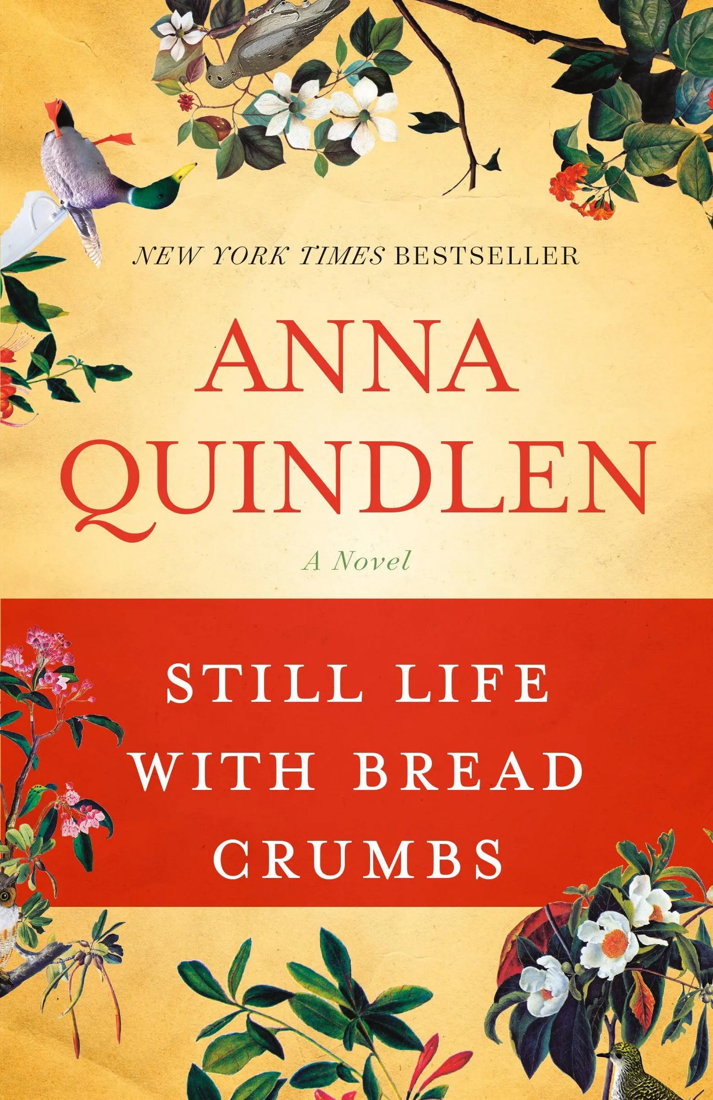 Still Life with Bread Crumbs: A Novel The Happy Book Stack