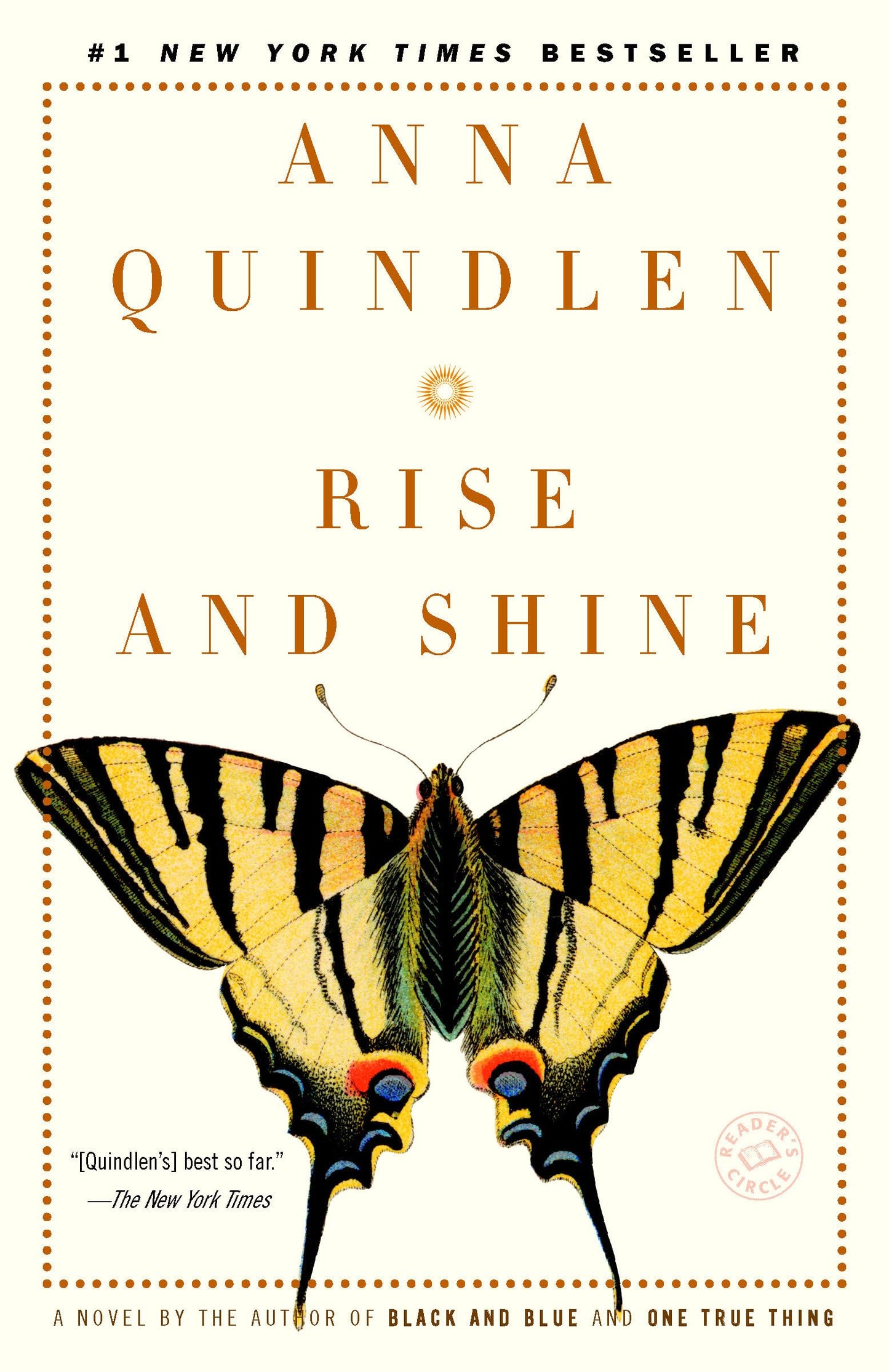Rise and Shine: A Novel The Happy Book Stack