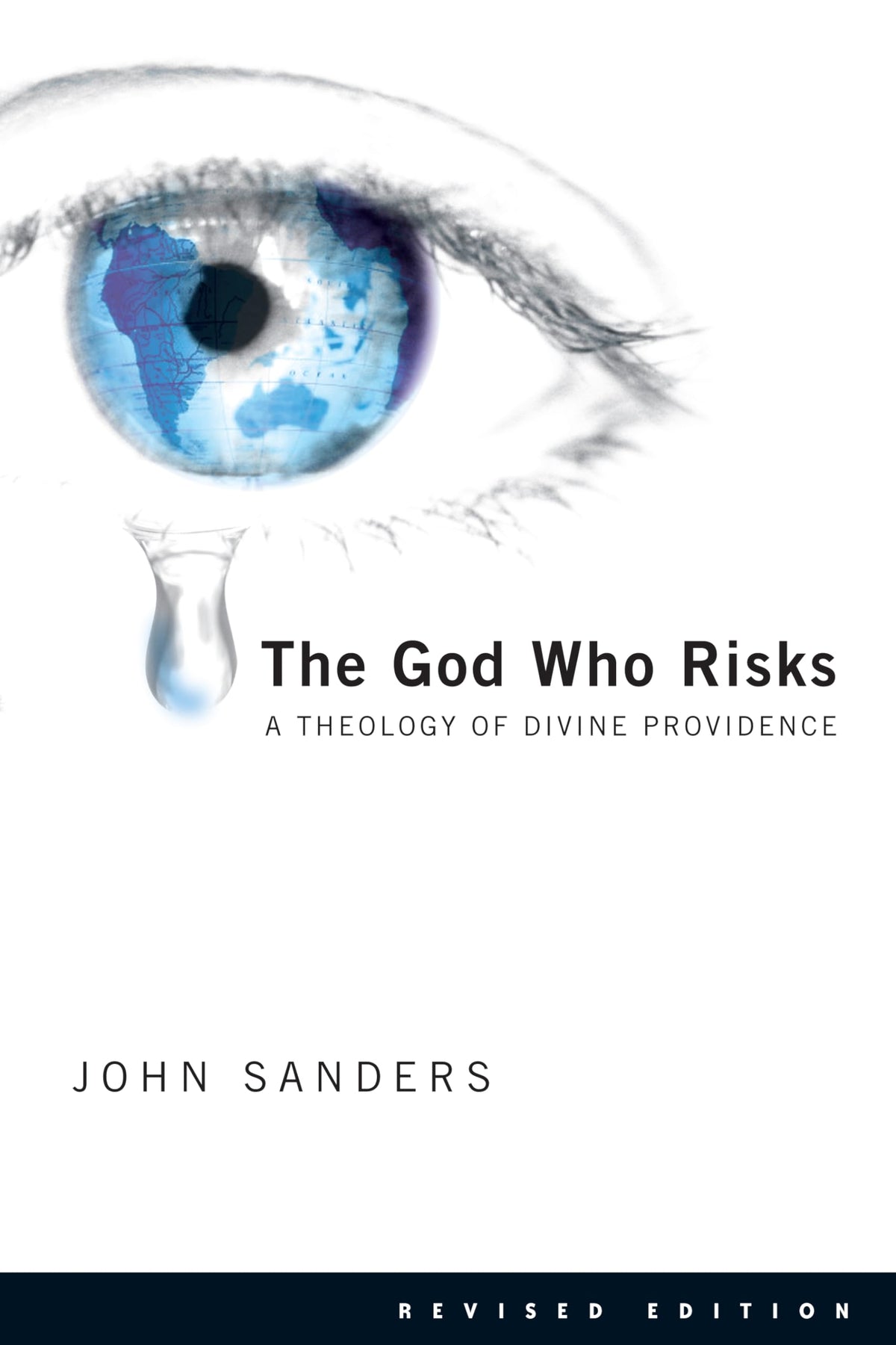 The God Who Risks: A Theology of Divine Providence The Happy Book Stack