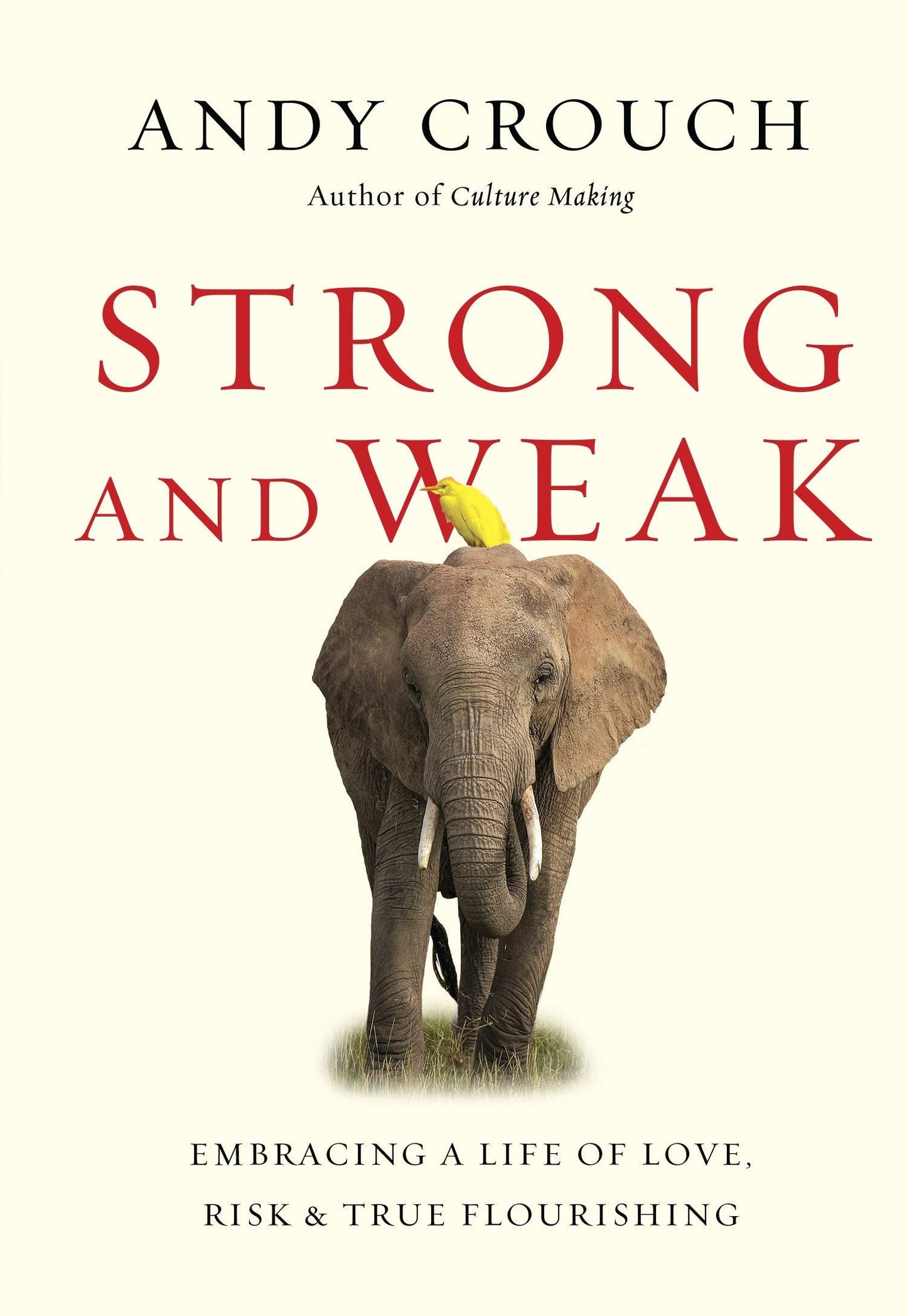 Strong and Weak: Embracing a Life of Love, Risk and True Flourishing The Happy Book Stack