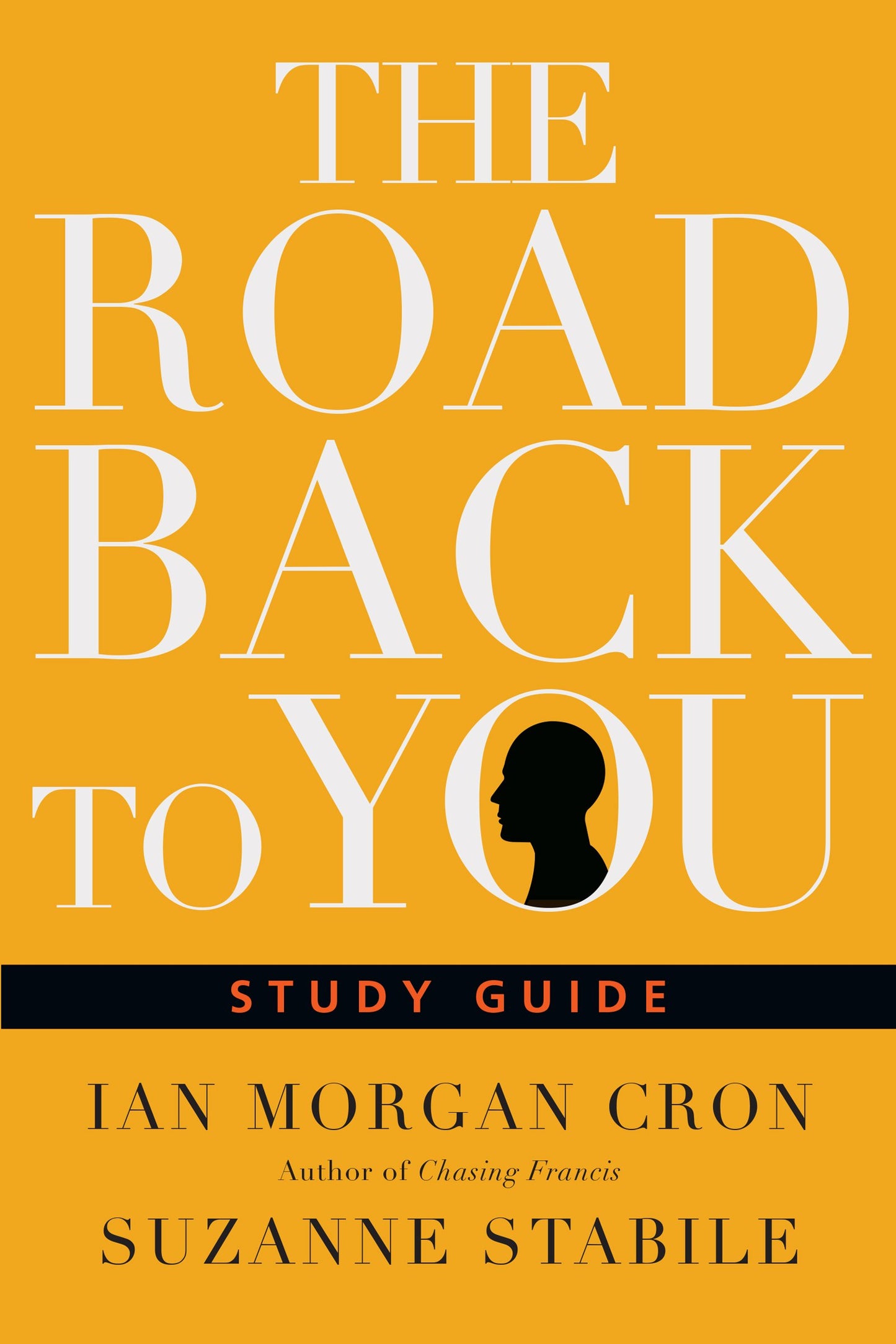 The Road Back to You Study Guide The Happy Book Stack
