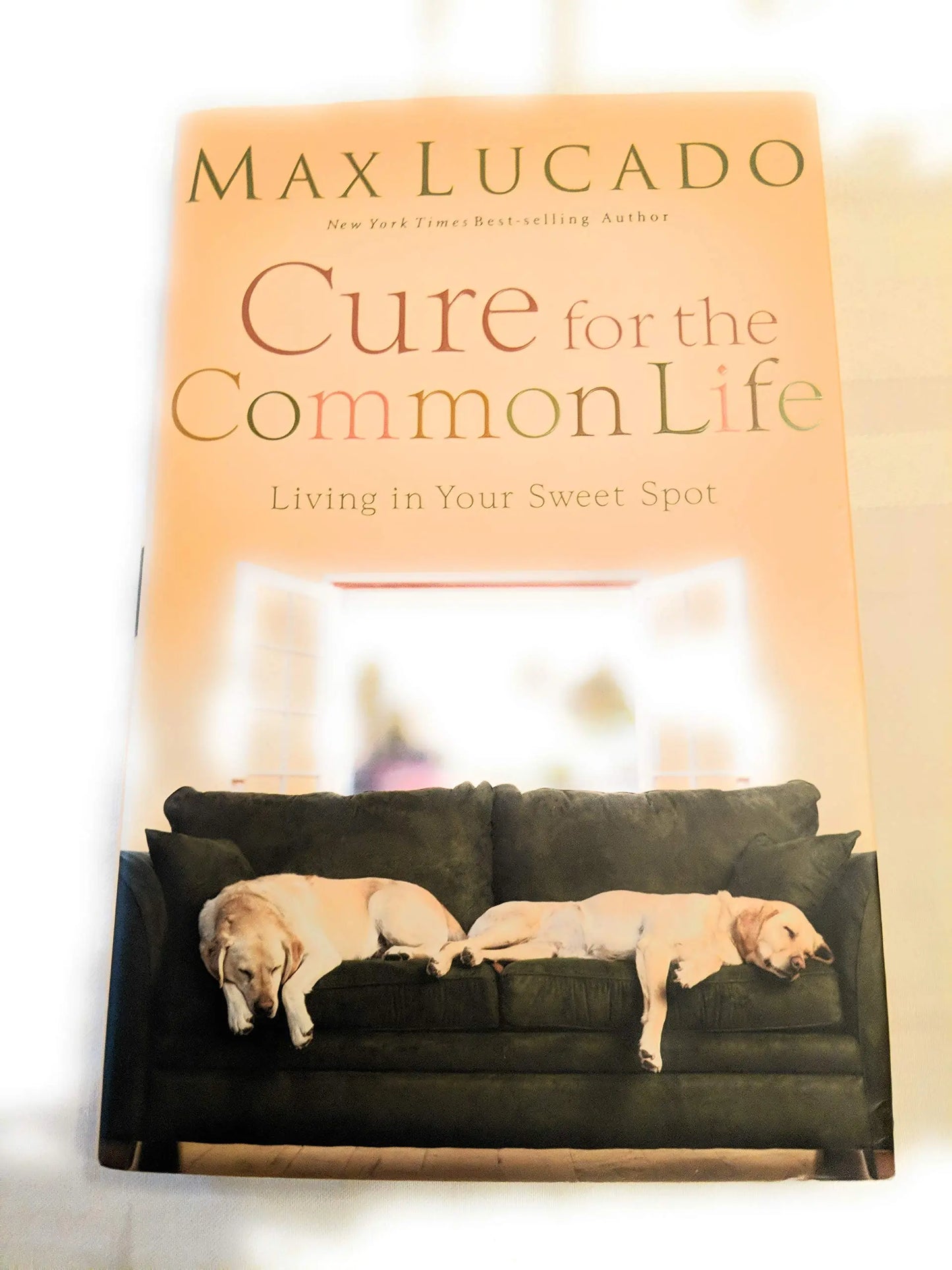Cure for the Common Life: Living in Your Sweet Spot The Happy Book Stack