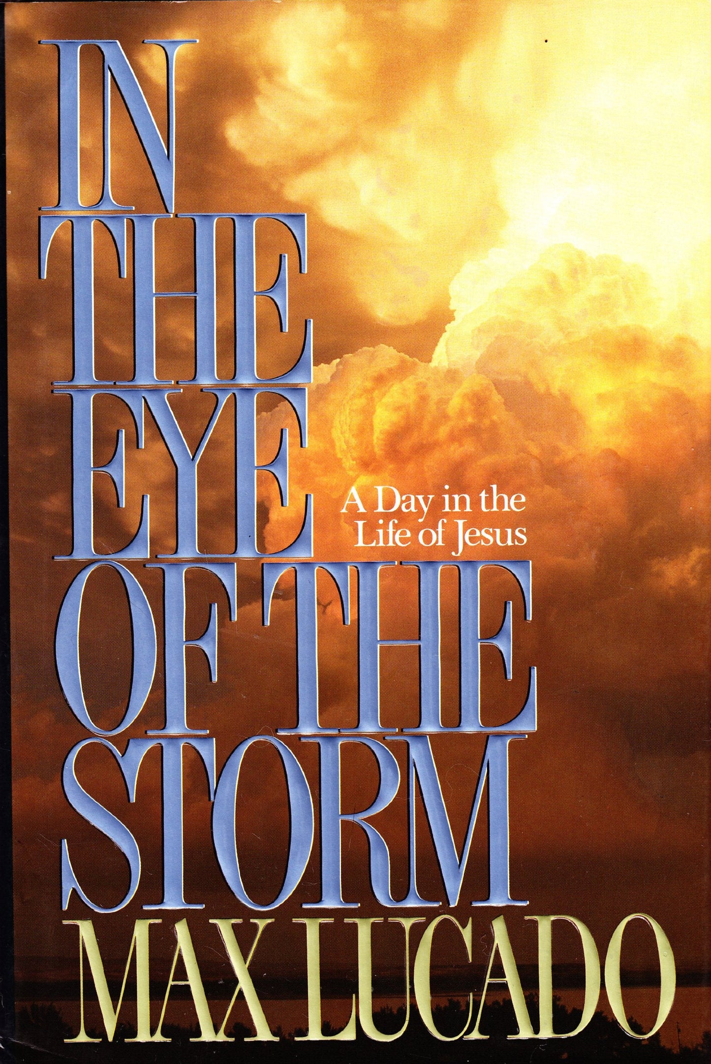 In the Eye of the Storm The Happy Book Stack