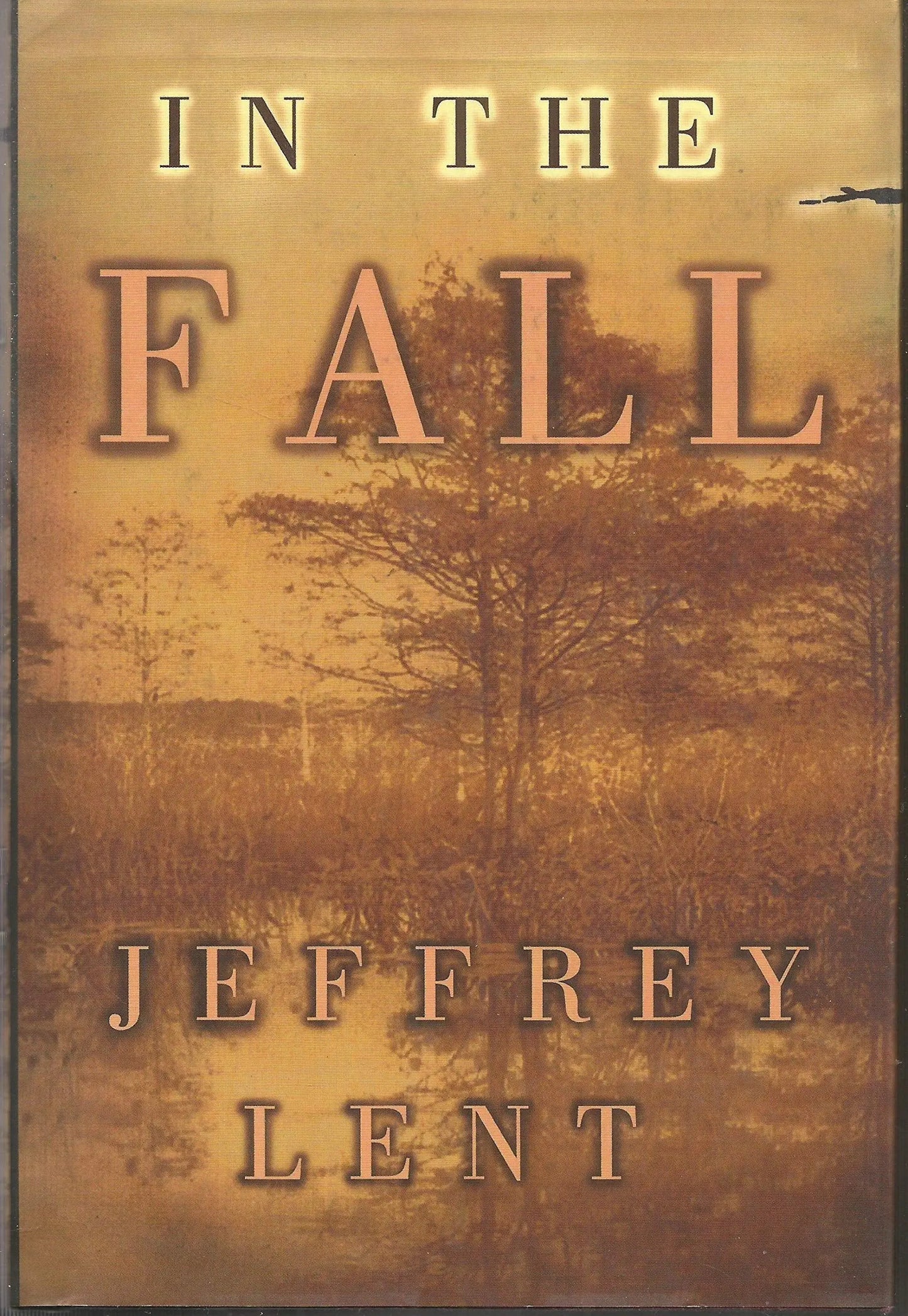 In the Fall The Happy Book Stack