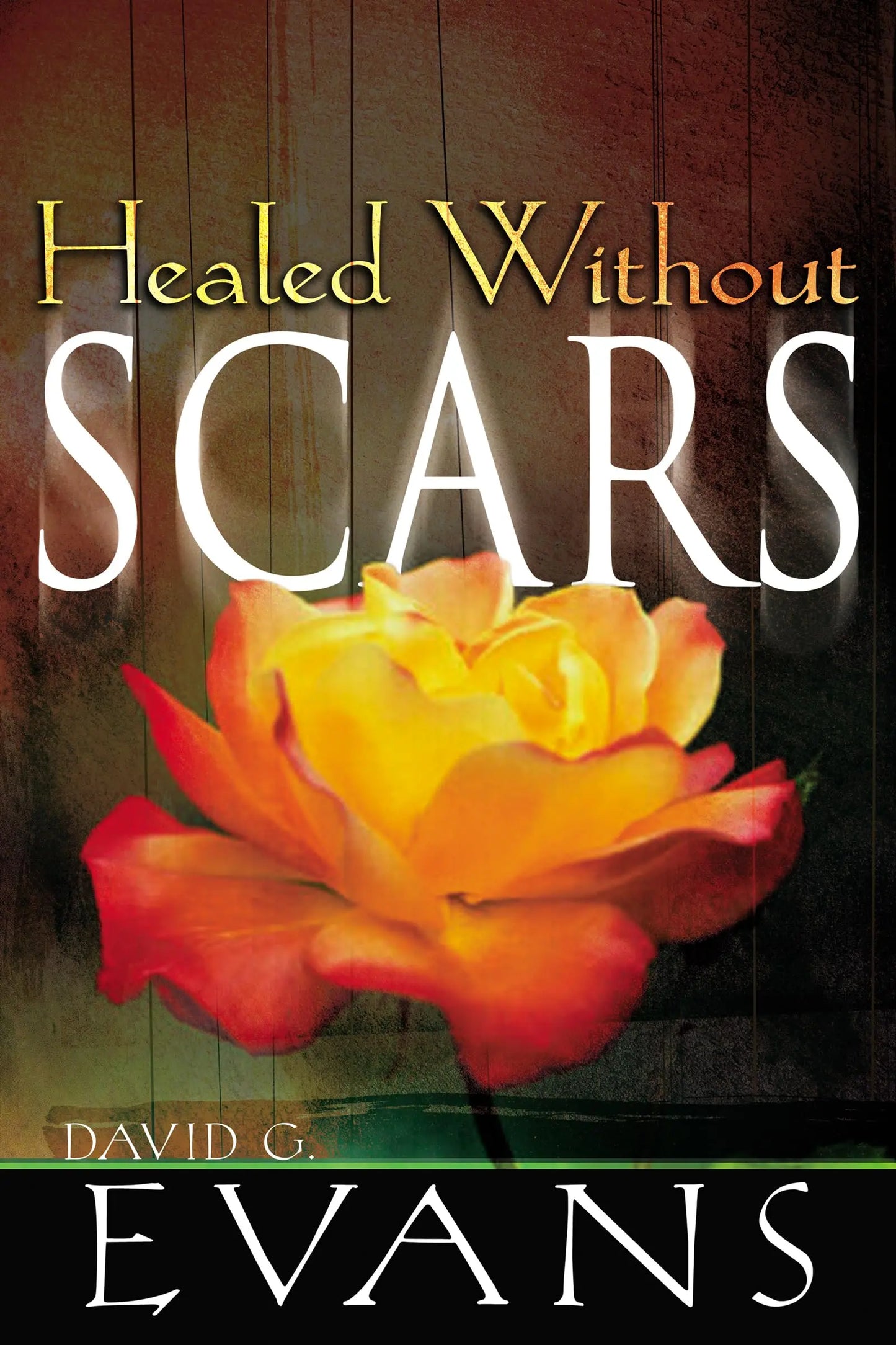 Healed Without Scars The Happy Book Stack