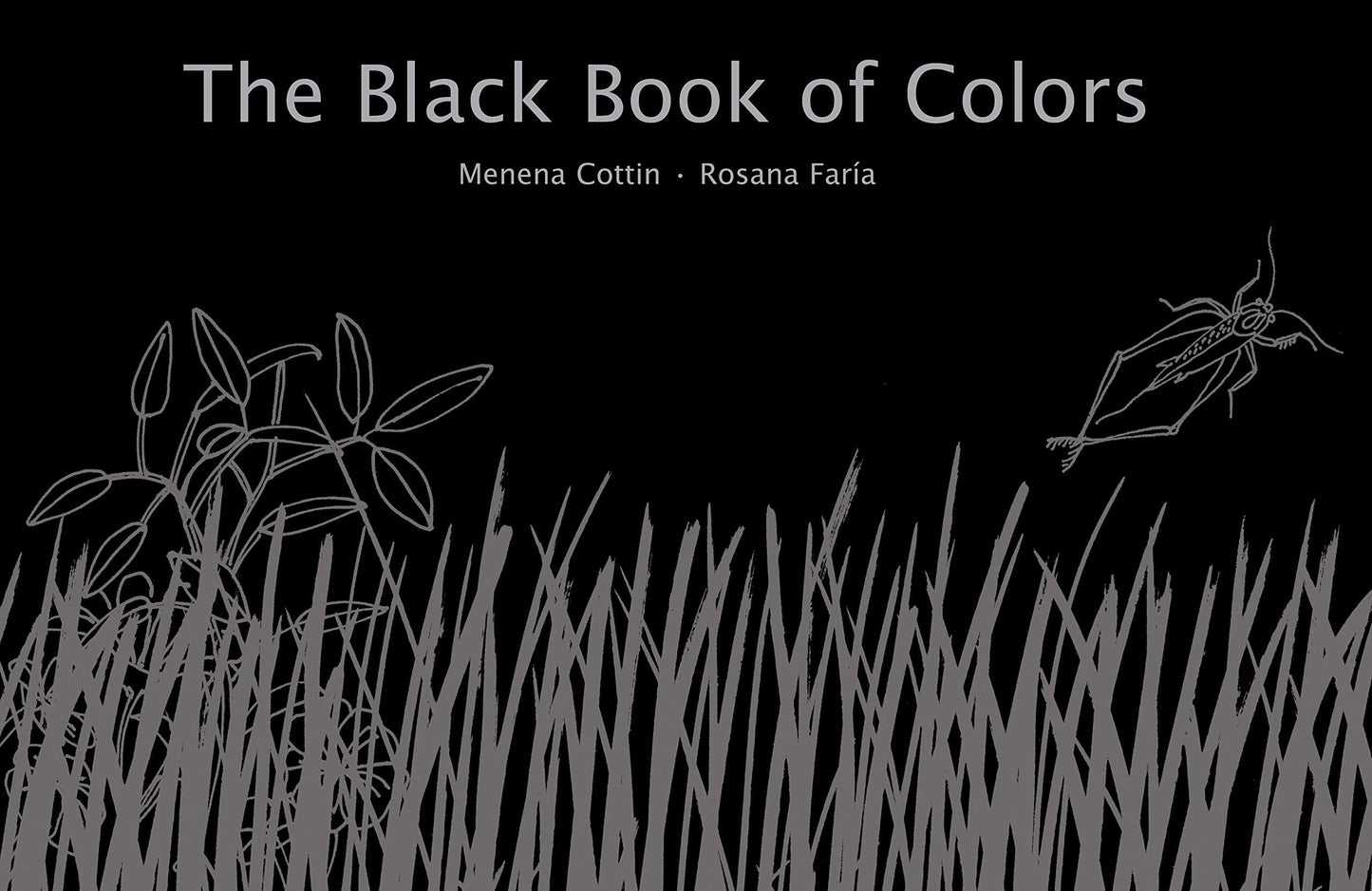 The Black Book of Colors The Happy Book Stack