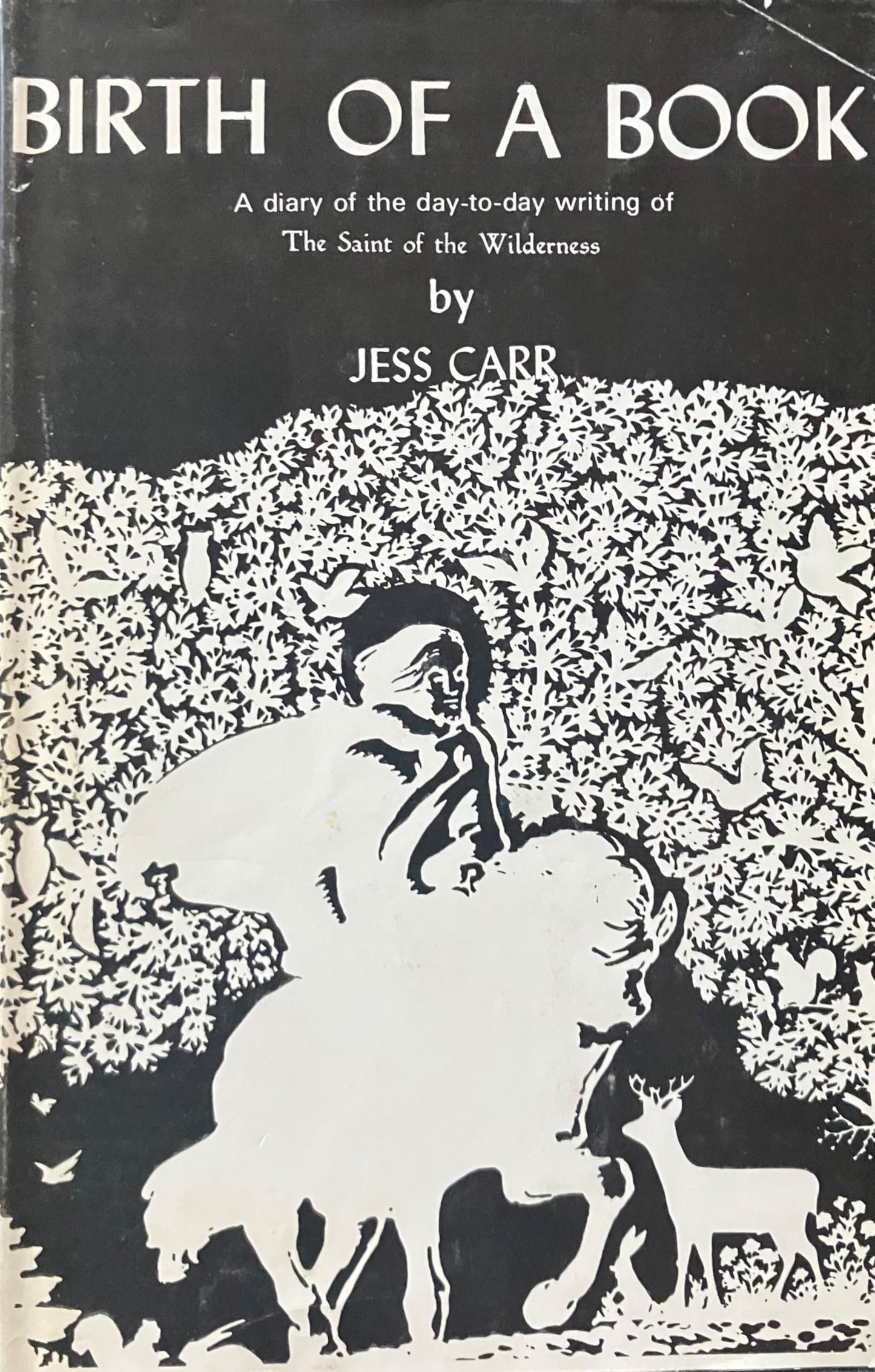 Birth of a Book - 7651