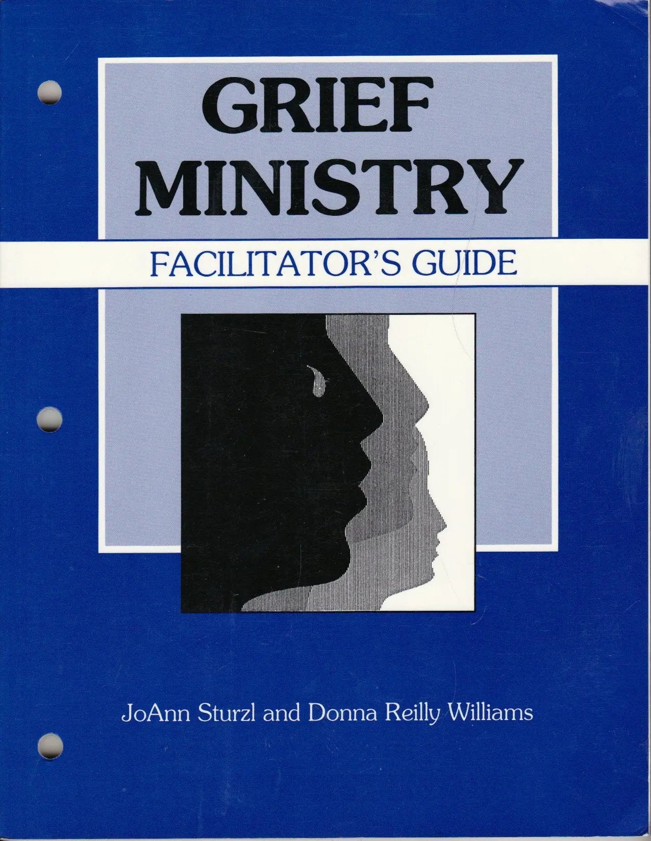 Grief Ministry Facilitator's Guide The Happy Book Stack