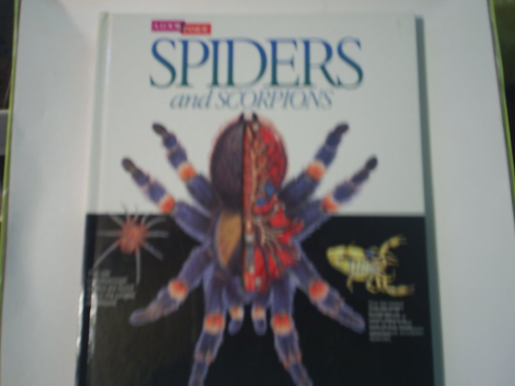 Spiders and Scorpions (A Look Inside) The Happy Book Stack
