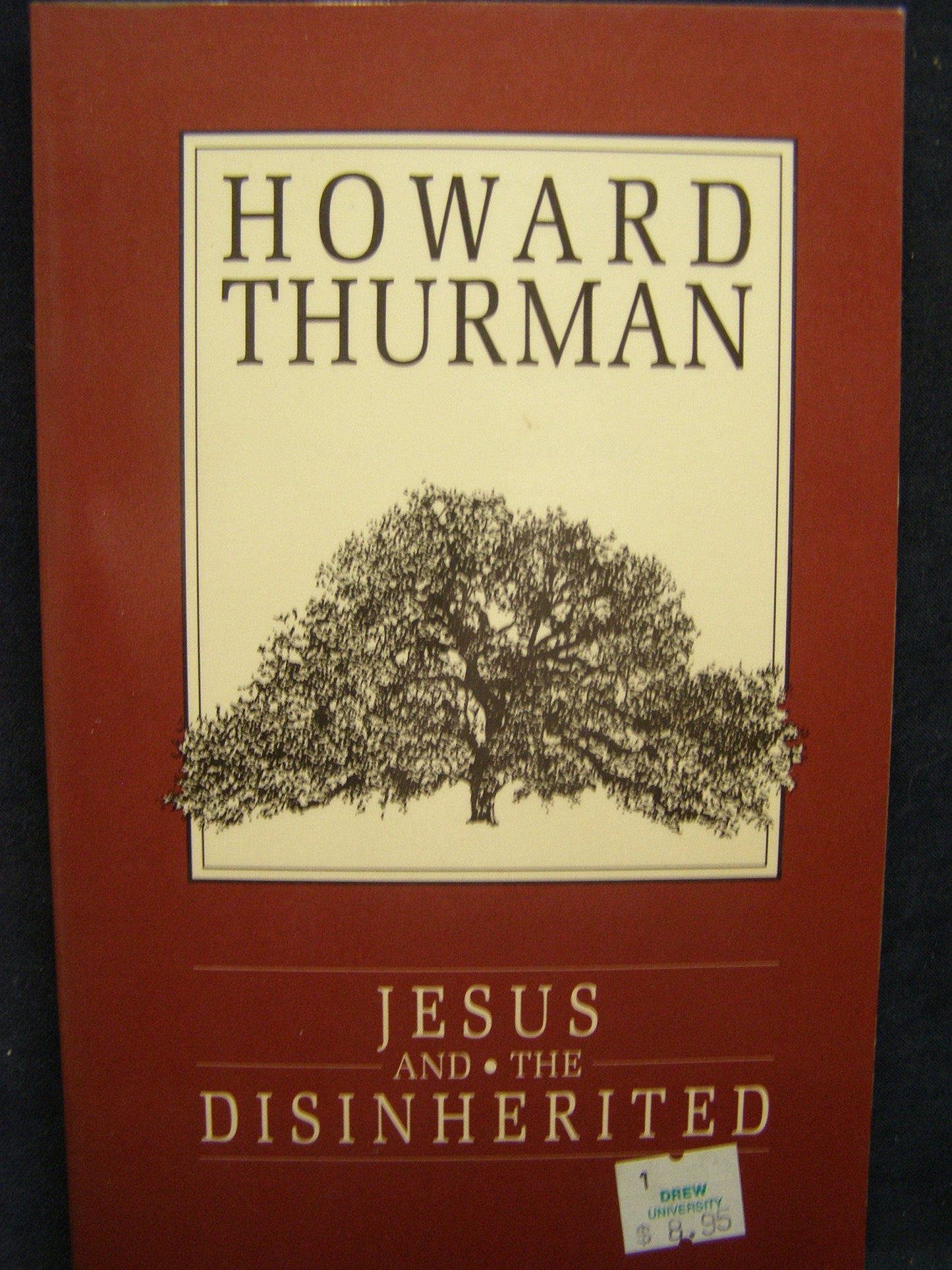 Jesus and the Disinherited - 5471