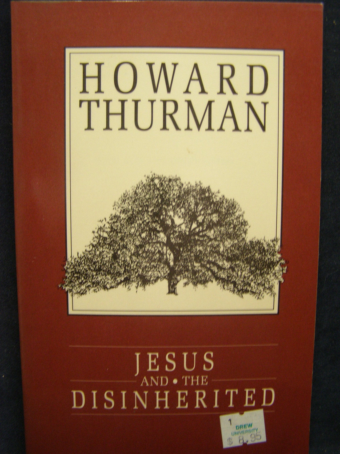 Jesus and the Disinherited The Happy Book Stack