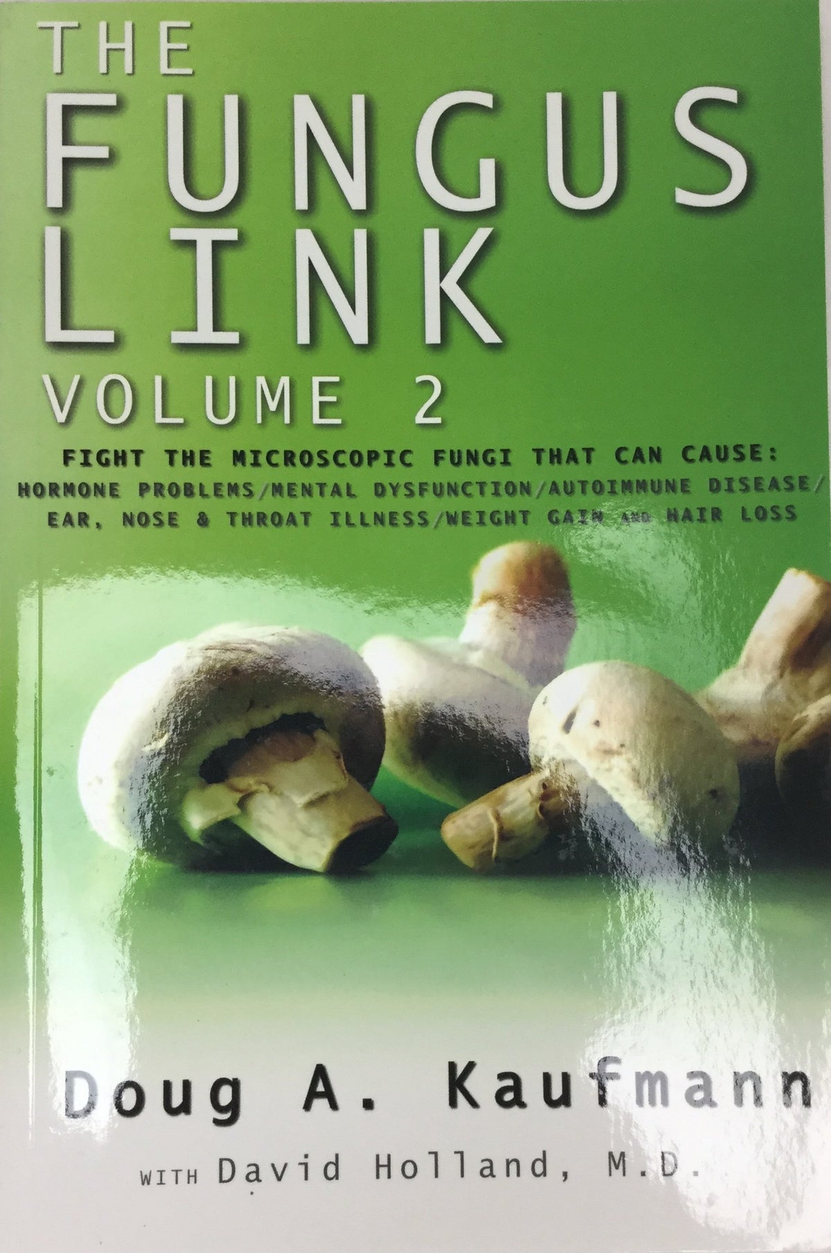 The Fungus Link Volume 2 The Happy Book Stack