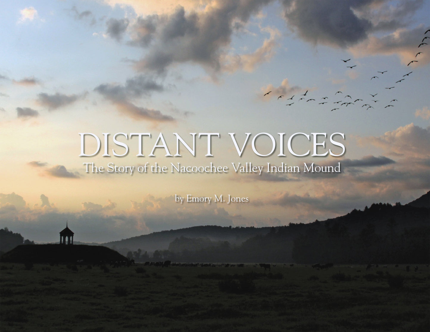Distant Voices: The Story of the Nacoochee Valley Indian Mound The Happy Book Stack