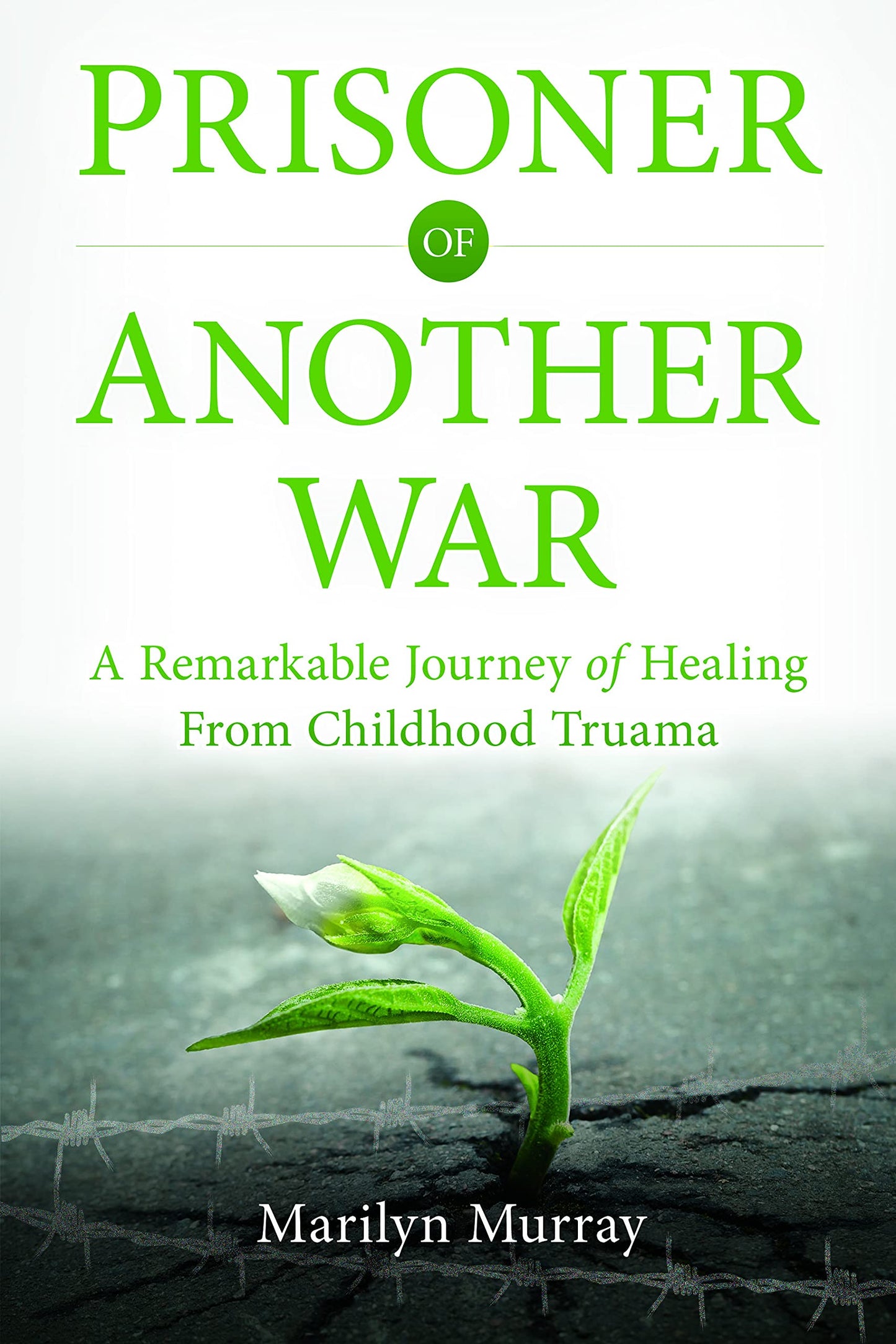 Prisoner of Another War, A Remarkable Journey of Healing from Childhood Trauma - 4497