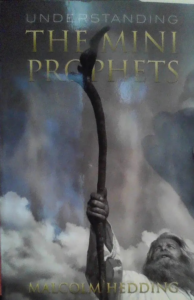 Understanding the Mini Prophets The Happy Book Stack