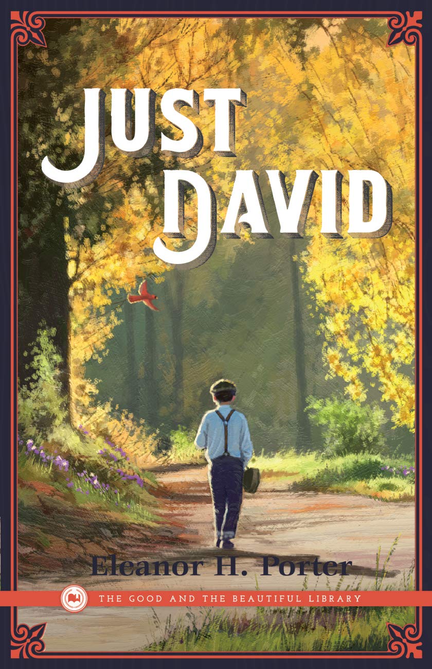 Just David The Happy Book Stack