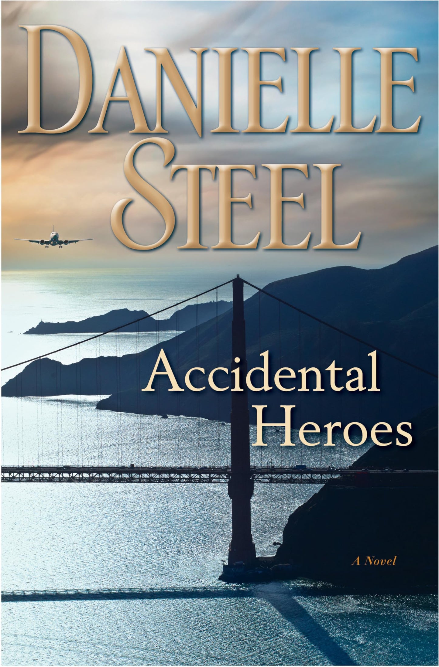 Accidental Heroes: A Novel The Happy Book Stack
