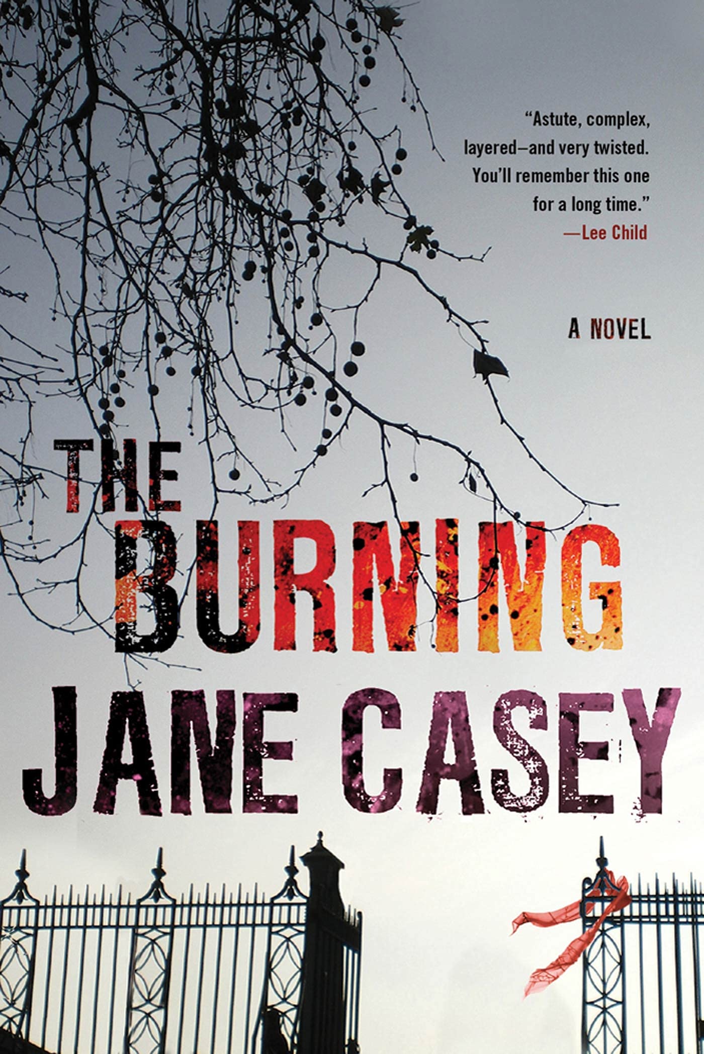 The Burning: A Maeve Kerrigan Crime Novel (Maeve Kerrigan Novels, 1) - 7176