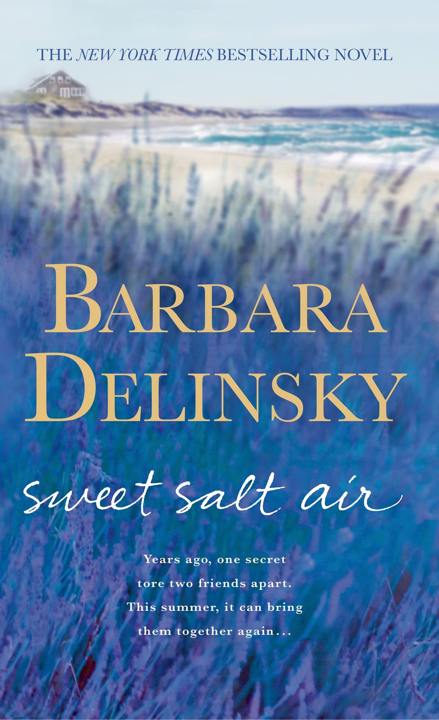 Sweet Salt Air: A Novel The Happy Book Stack