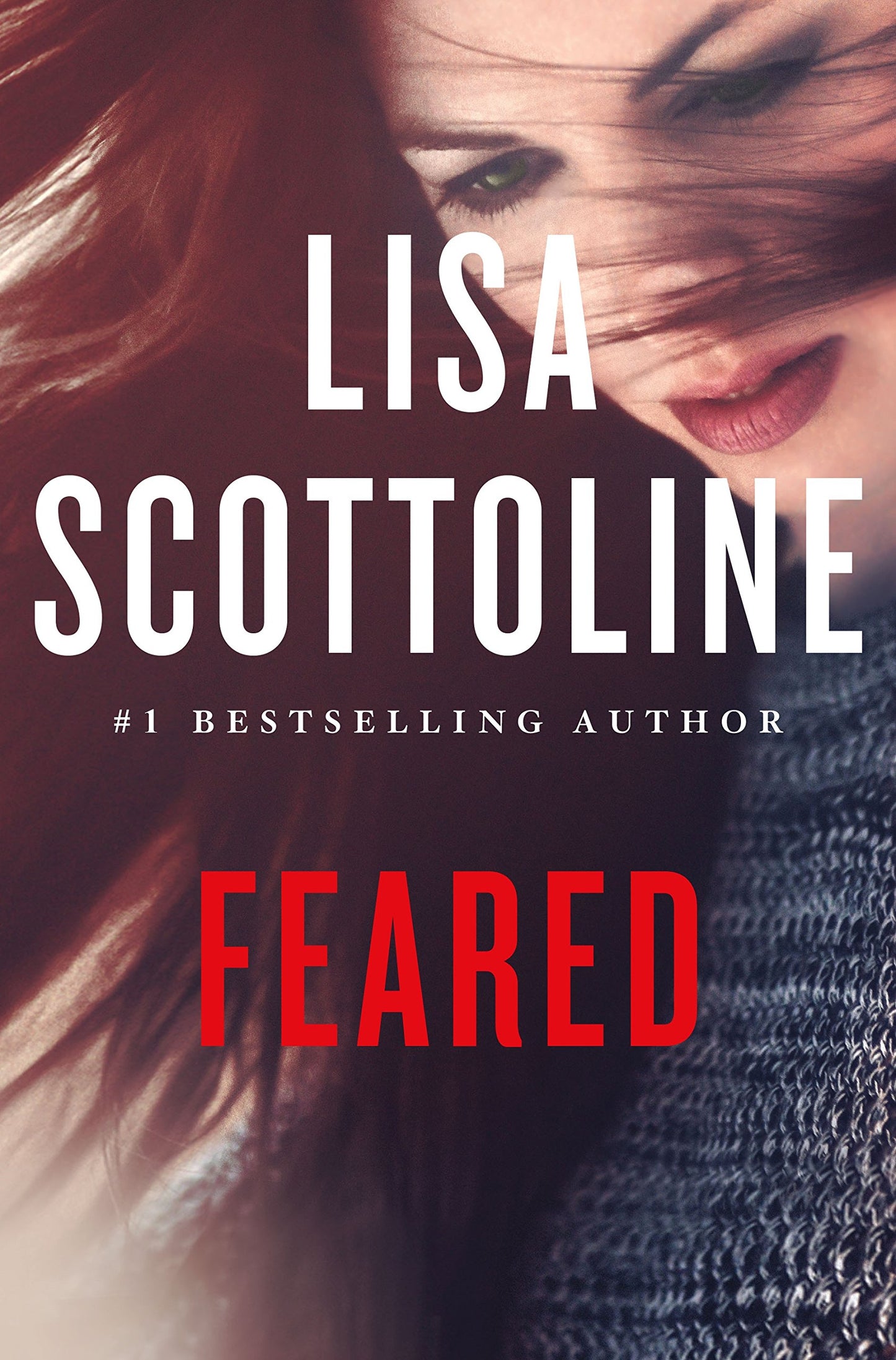 Feared: A Rosato & DiNunzio Novel The Happy Book Stack