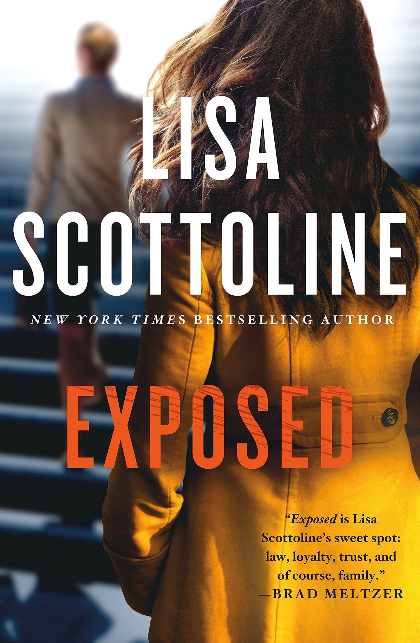 Exposed: A Rosato & DiNunzio Novel The Happy Book Stack