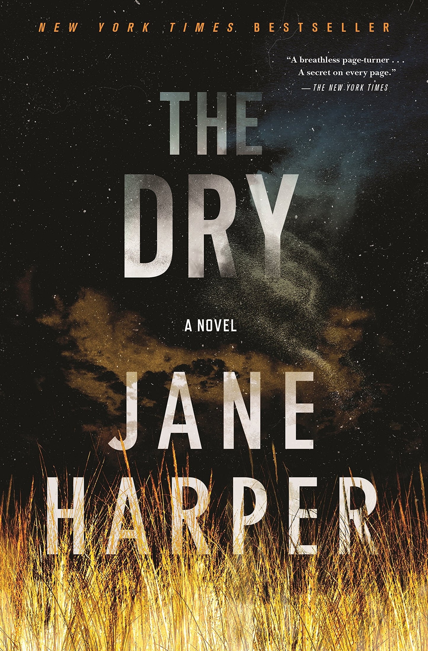 The Dry: A Novel The Happy Book Stack