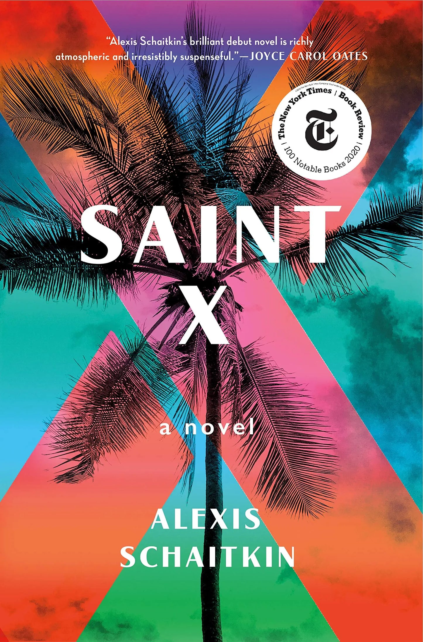 Saint X: A Novel The Happy Book Stack