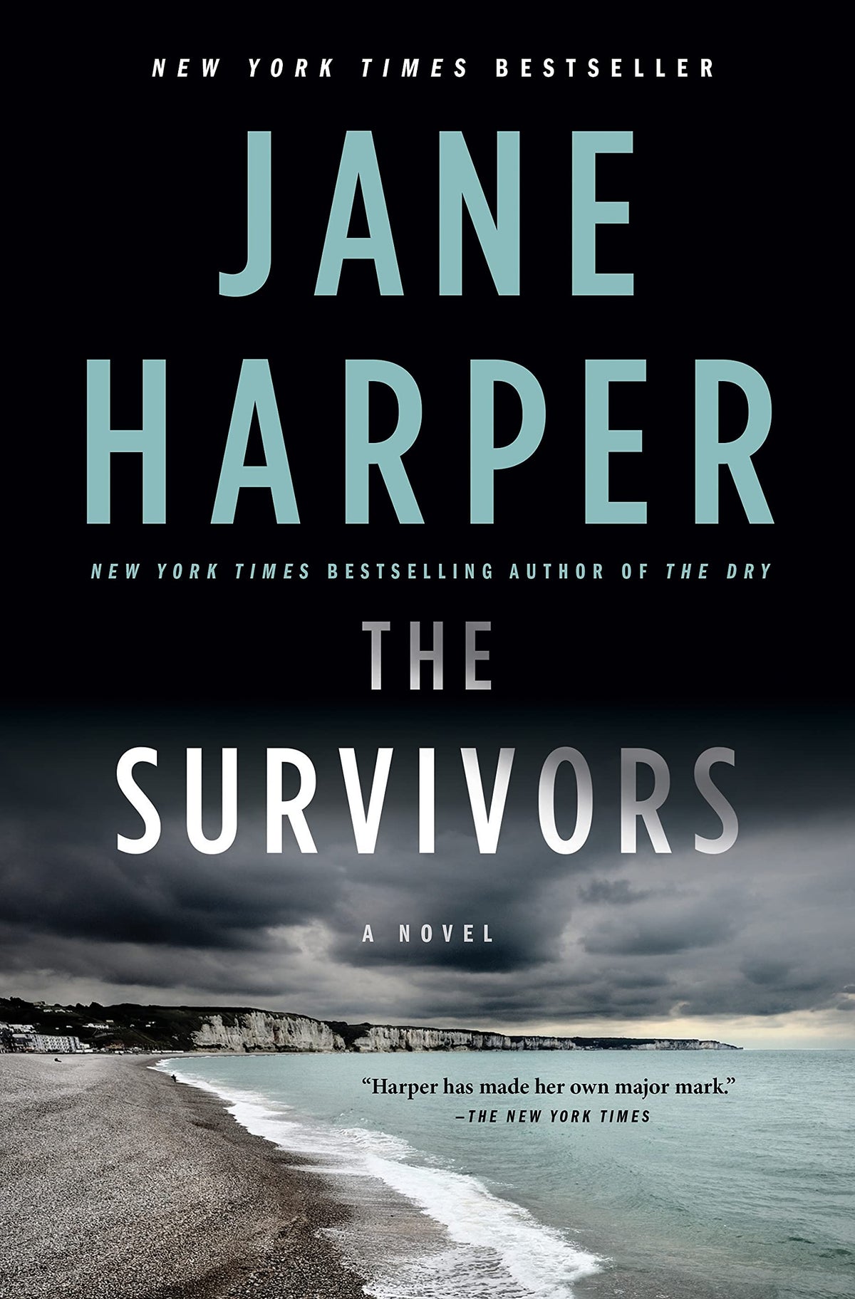 The Survivors: A Novel The Happy Book Stack
