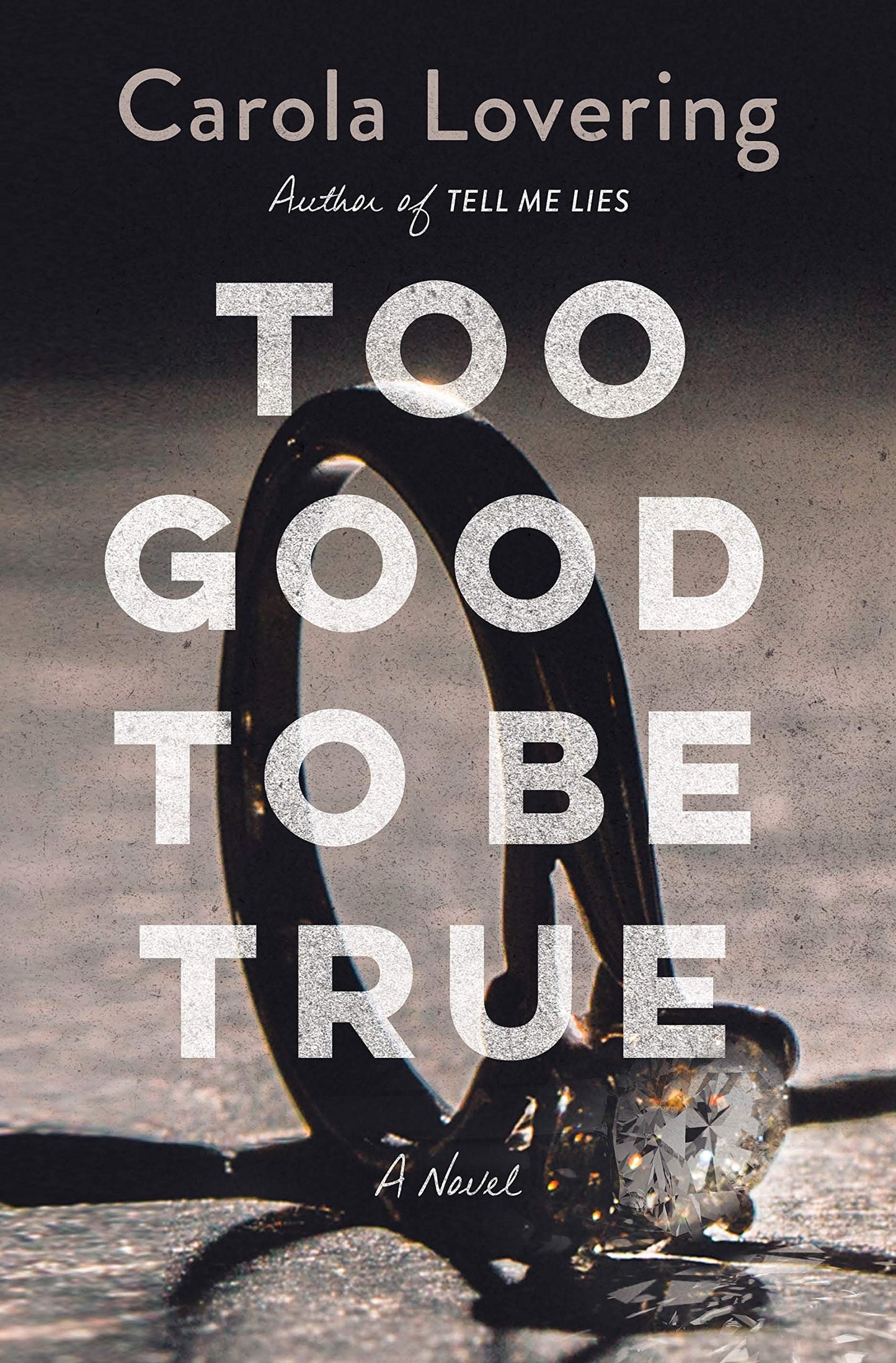 Too Good to Be True: A Novel The Happy Book Stack