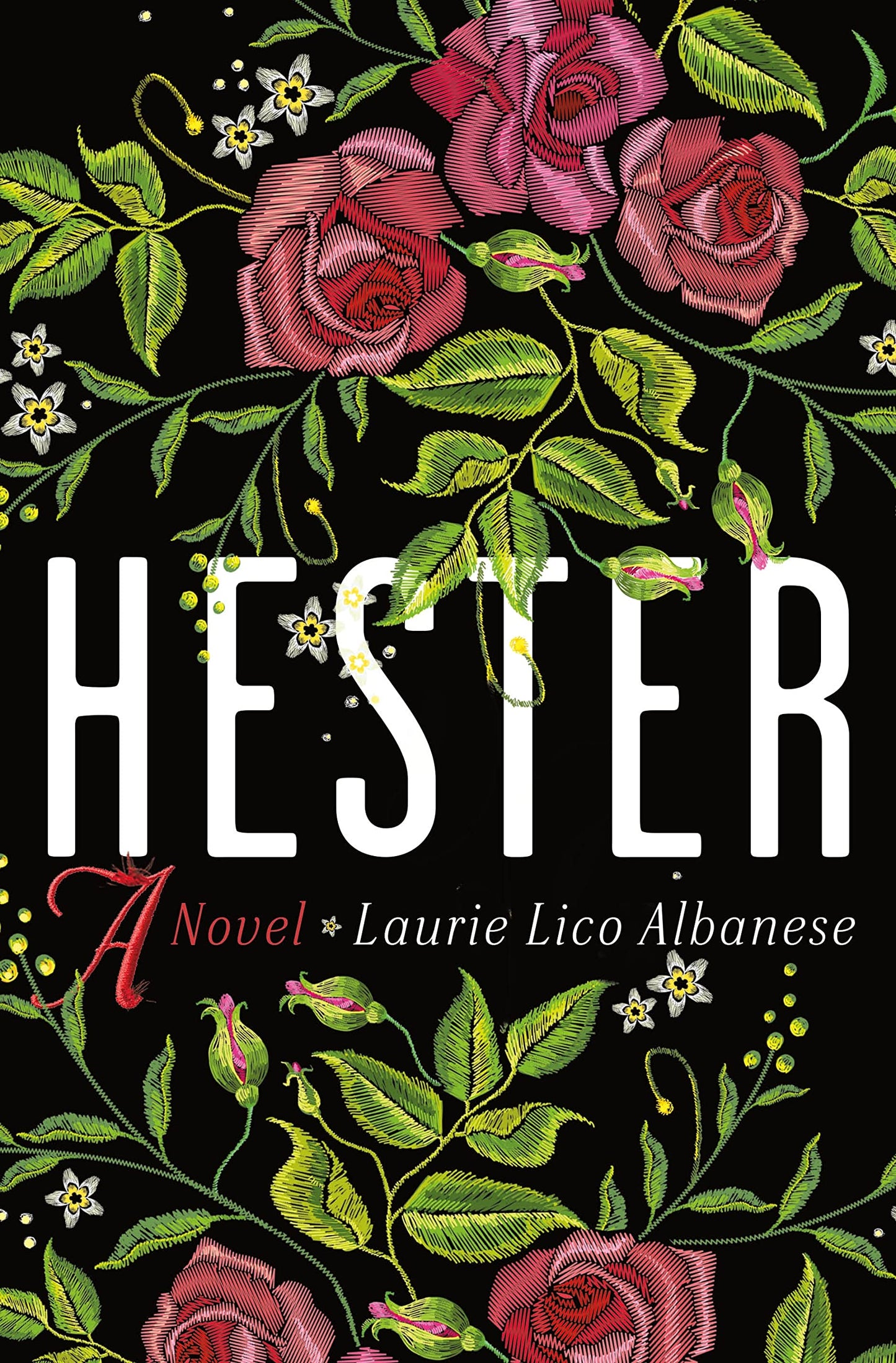 Hester: A Novel The Happy Book Stack