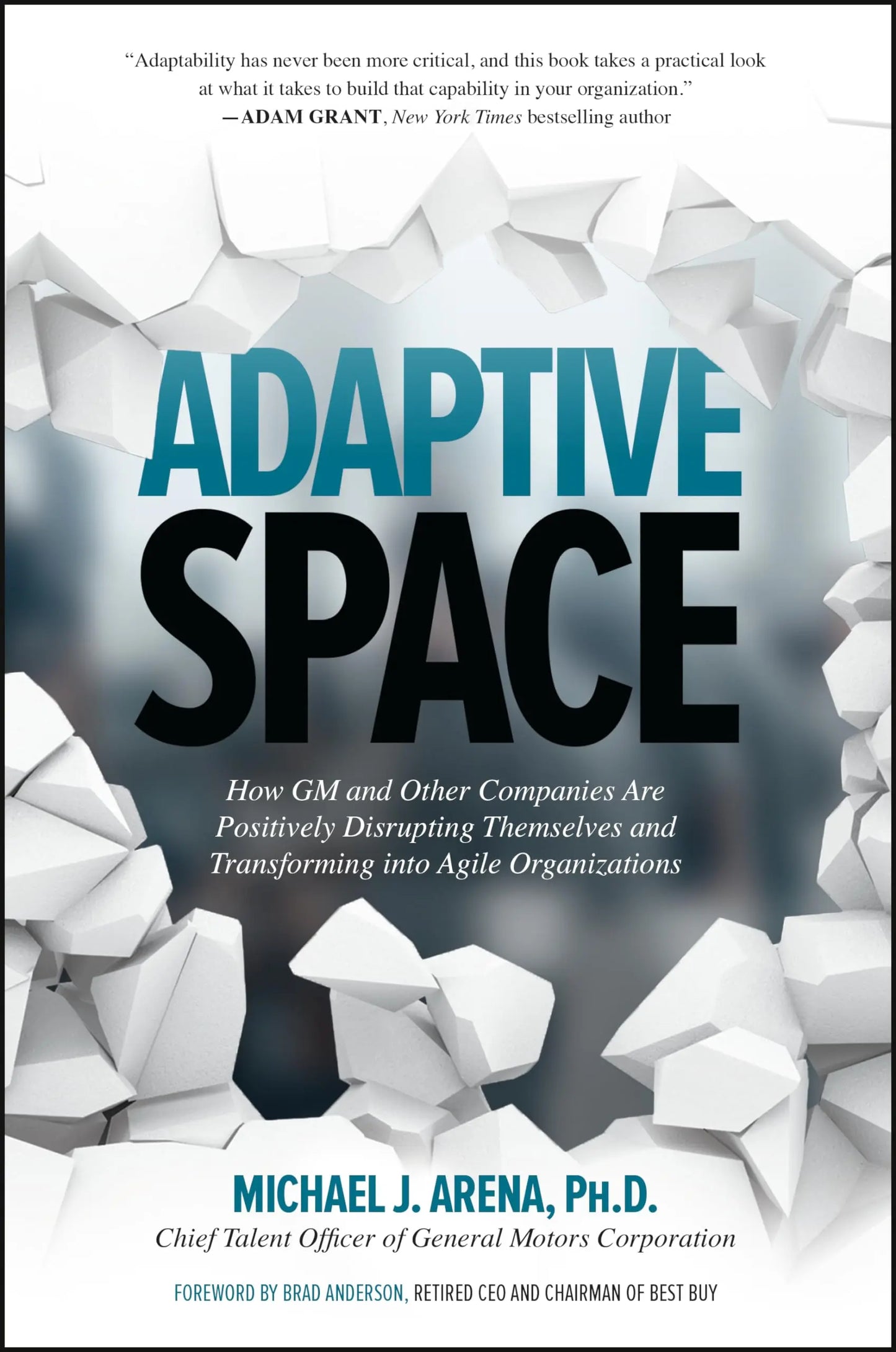 Adaptive Space: How GM and Other Companies are Positively Disrupting Themselves and Transforming into Agile Organizations The Happy Book Stack