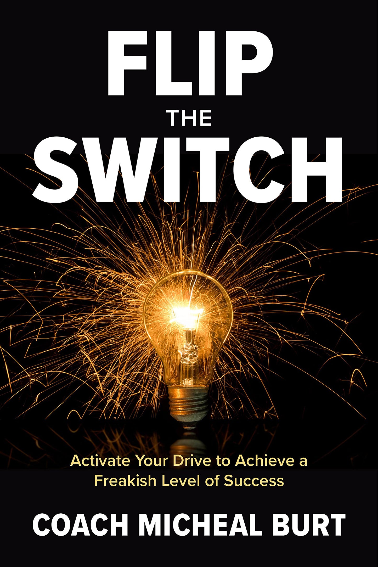 Flip the Switch: Activate Your Drive to Achieve a Freakish Level of Success The Happy Book Stack
