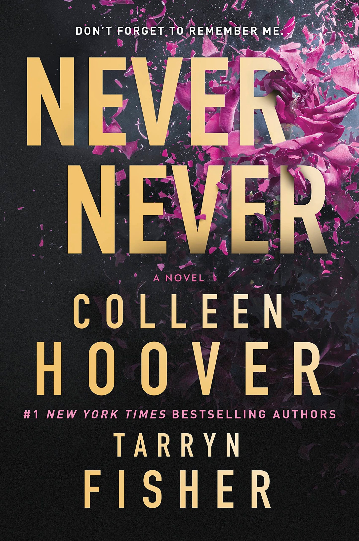 Never Never: A Romantic Suspense Novel of Love and Fate The Happy Book Stack
