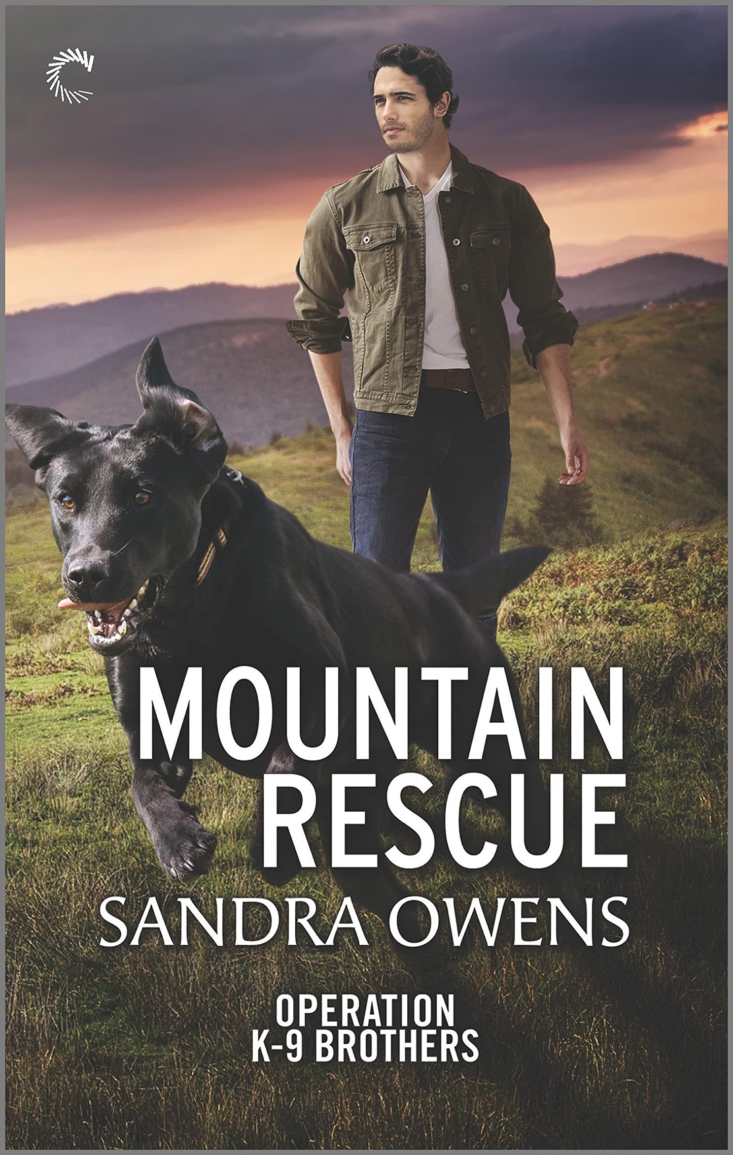 Mountain Rescue: A Thrilling Romantic Suspense Novel (Operation K-9 Brothers, 3) The Happy Book Stack