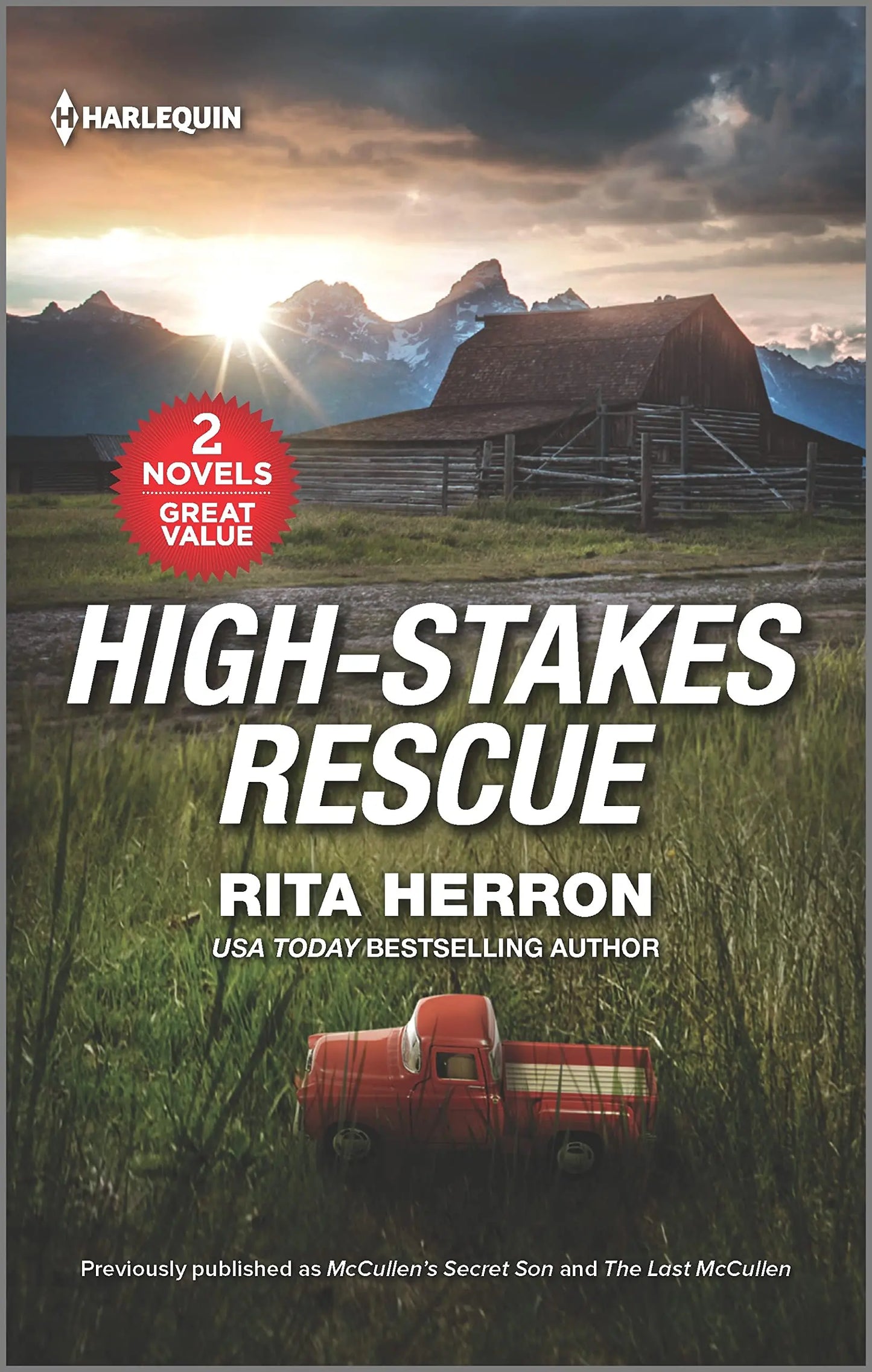 High-Stakes Rescue The Happy Book Stack