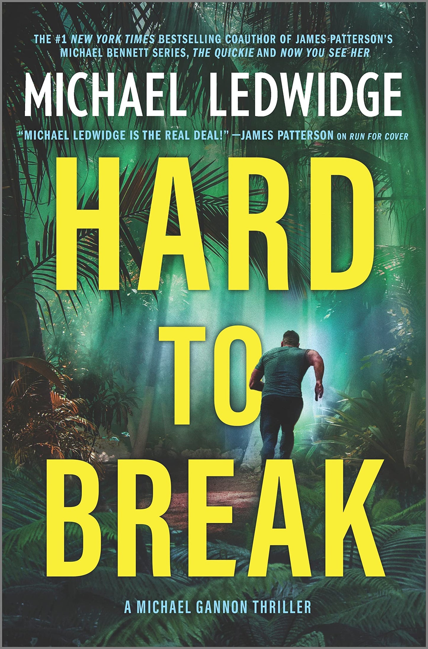 Hard to Break: A Michael Gannon Thriller – An Action Adventure Mystery of Crime and Suspense (Michael Gannon Series, 3) The Happy Book Stack