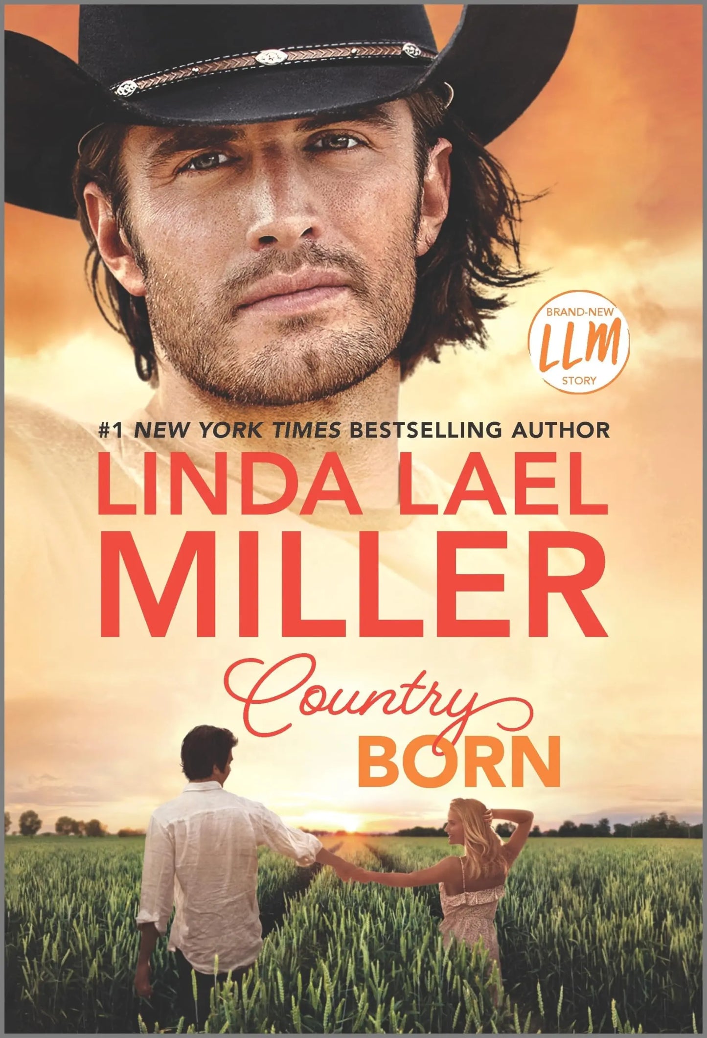 Country Born: A Novel (Painted Pony Creek, 3) The Happy Book Stack