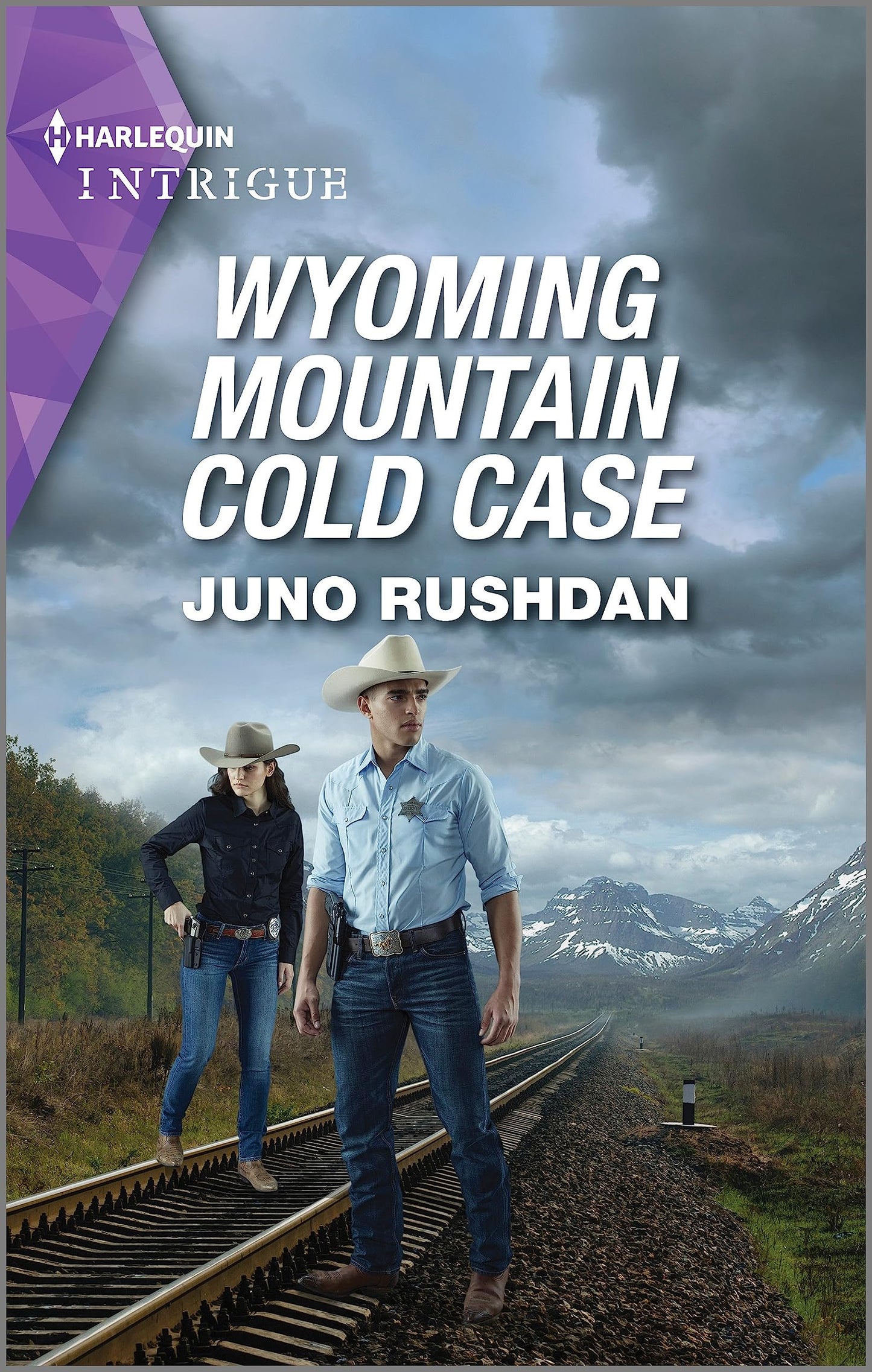 Wyoming Mountain Cold Case: An African American Romance Novel (Cowboy State Lawmen, 6) The Happy Book Stack