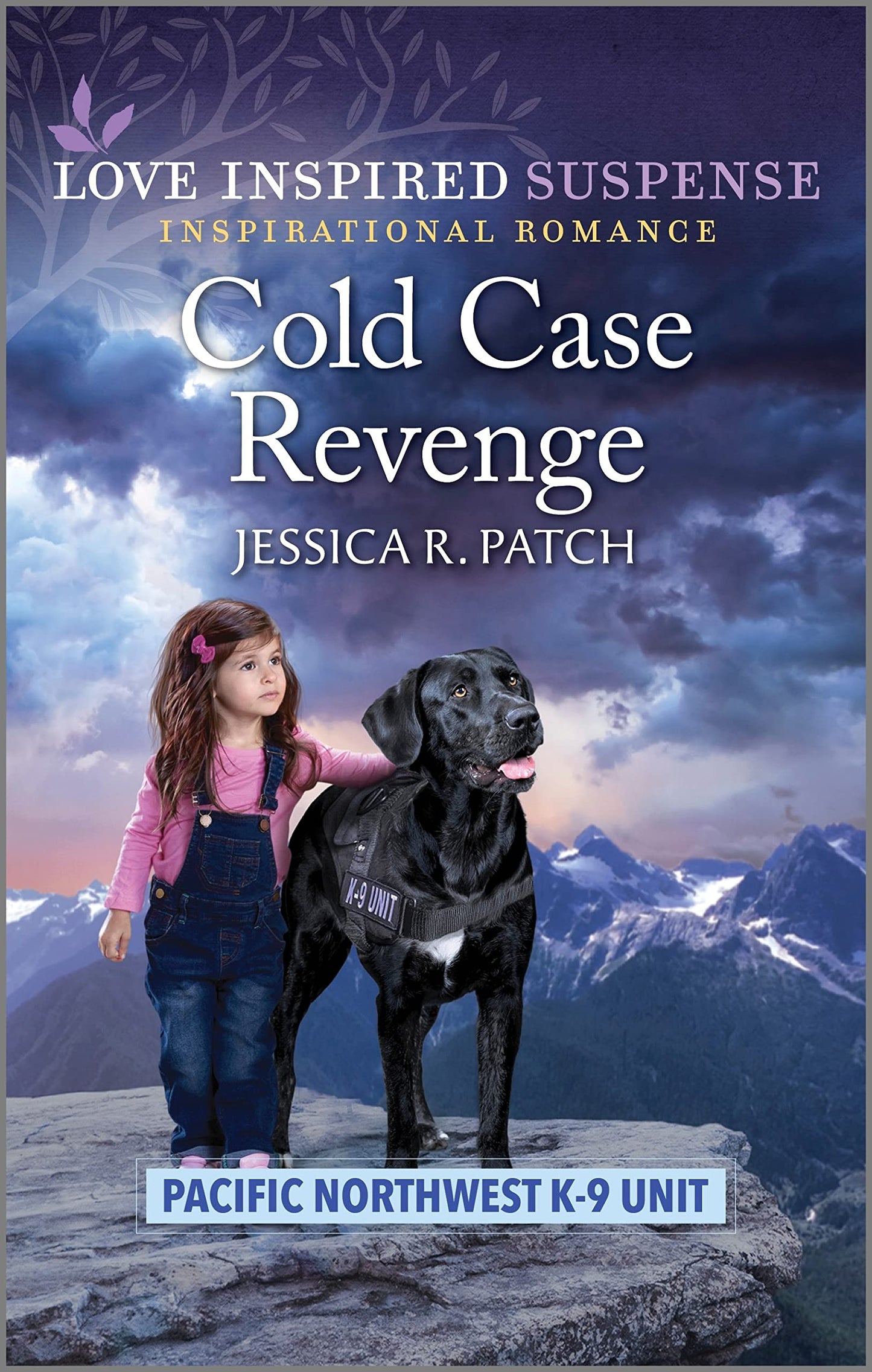 Cold Case Revenge: A Thrilling K-9 Suspense (Pacific Northwest K-9 Unit, 6) The Happy Book Stack