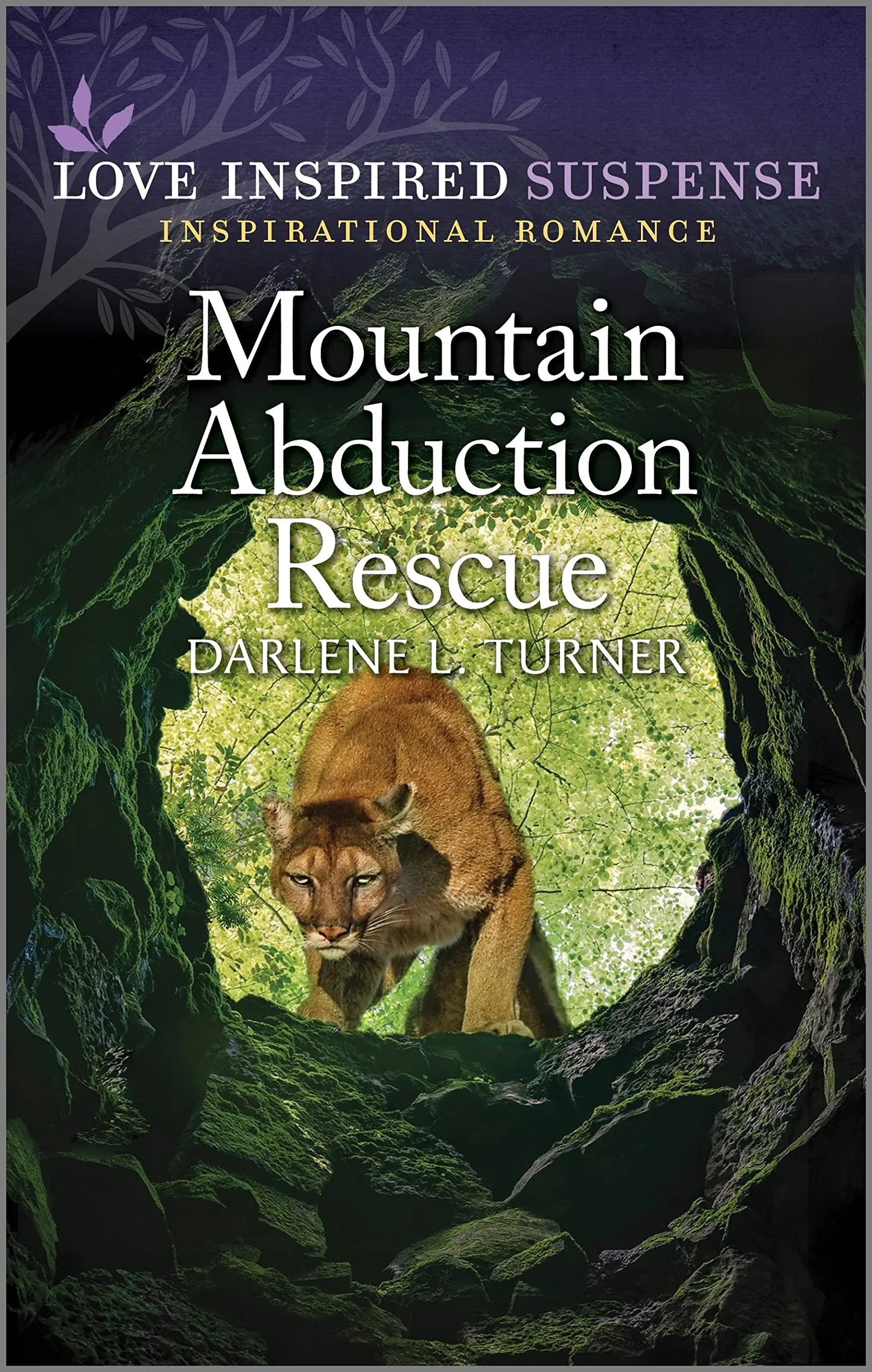 Mountain Abduction Rescue (Crisis Rescue Team, 3) The Happy Book Stack