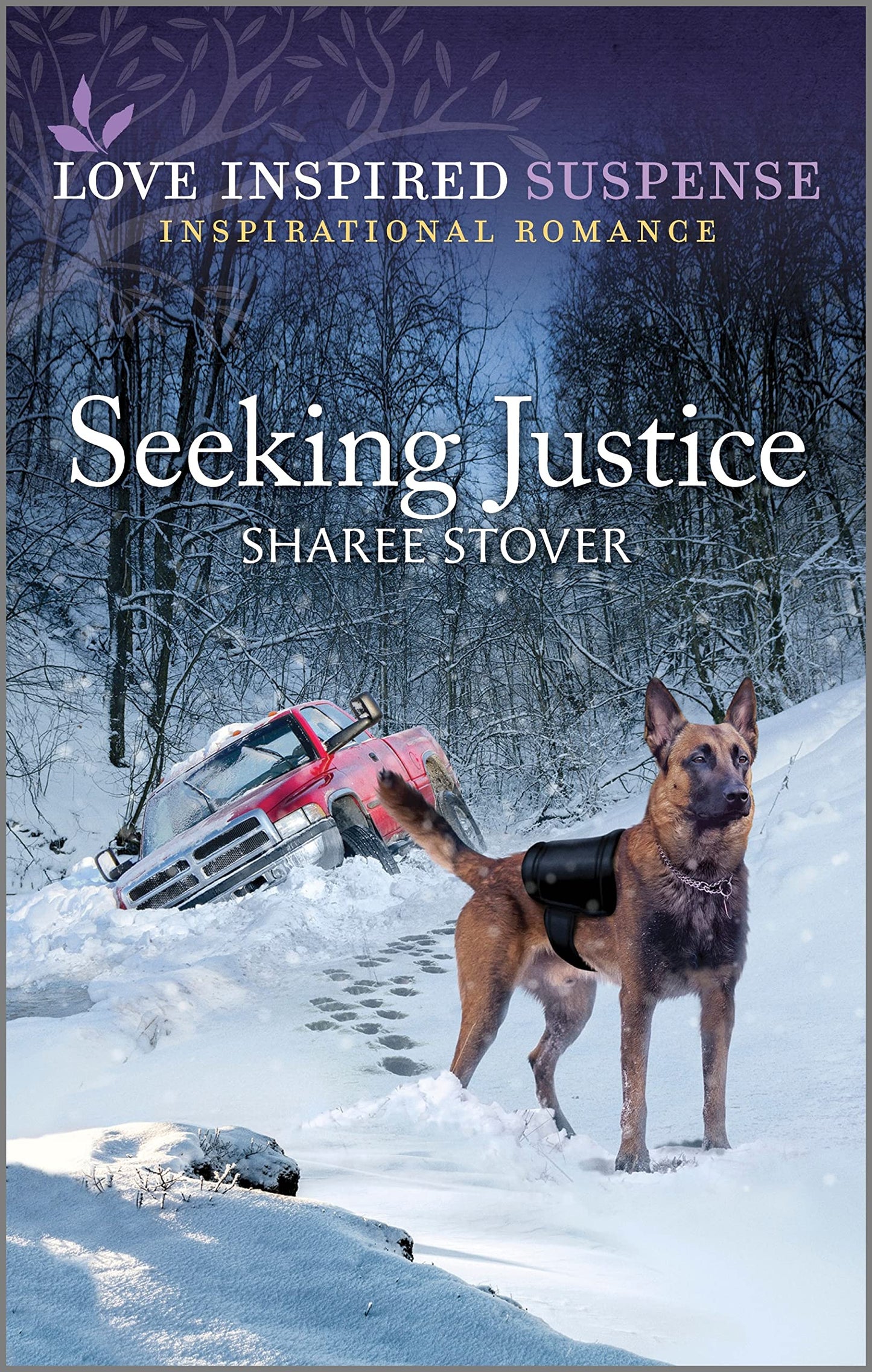 Seeking Justice (Love Inspired Suspense) The Happy Book Stack