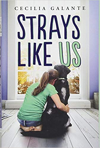 Strays Like Us The Happy Book Stack