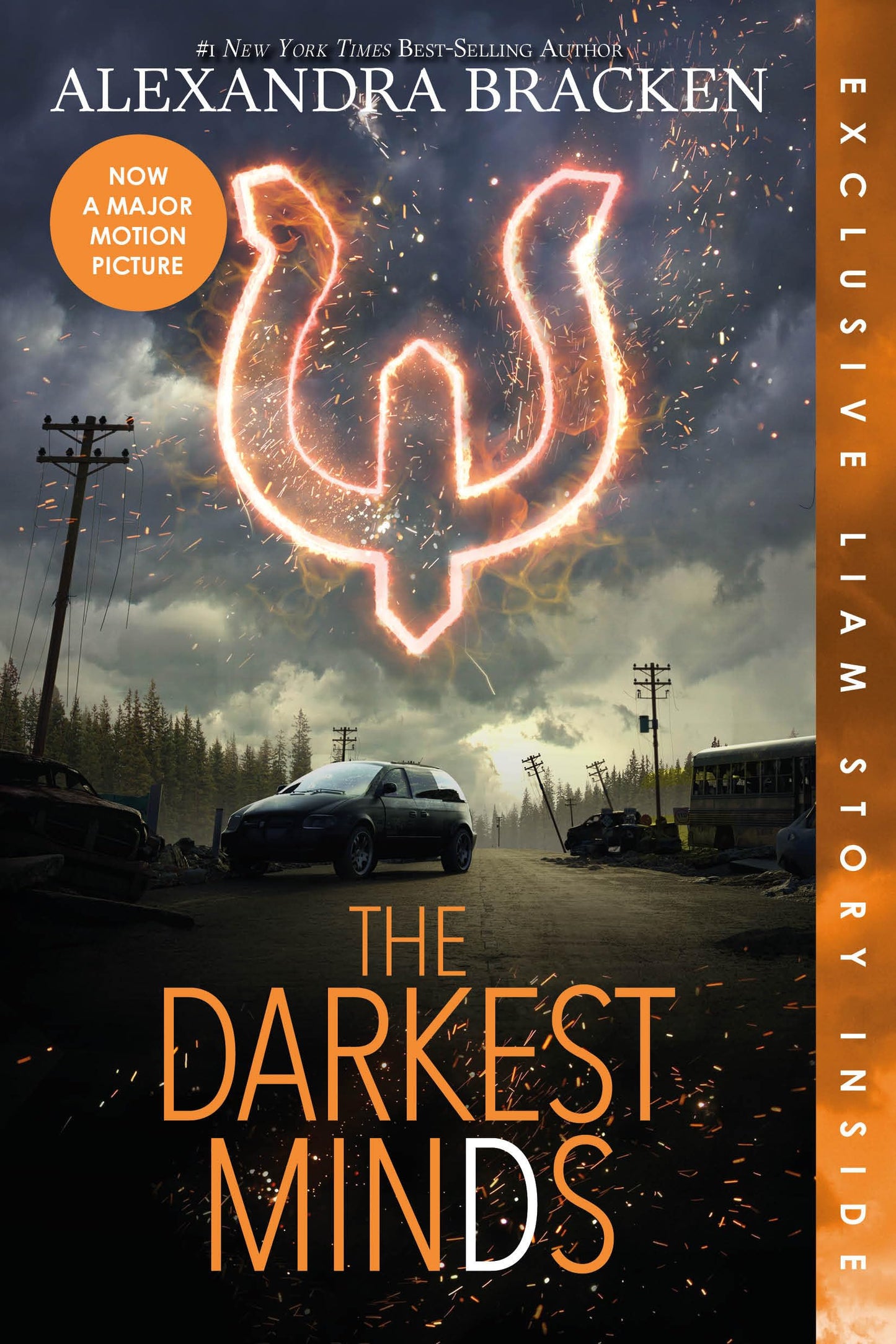 Darkest Minds, The (Bonus Content) (A Darkest Minds Novel) The Happy Book Stack