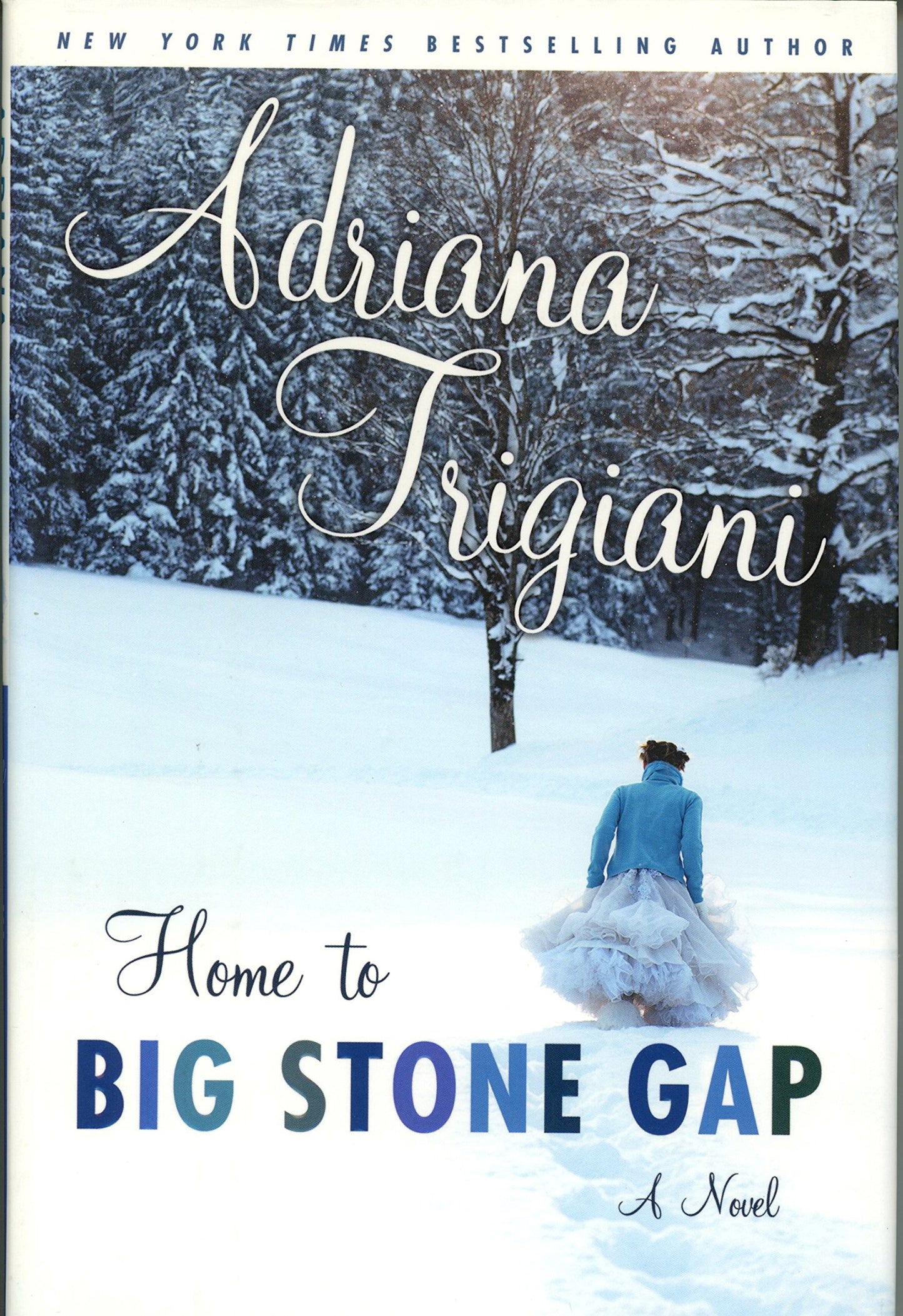 Home to Big Stone Gap: A Novel The Happy Book Stack