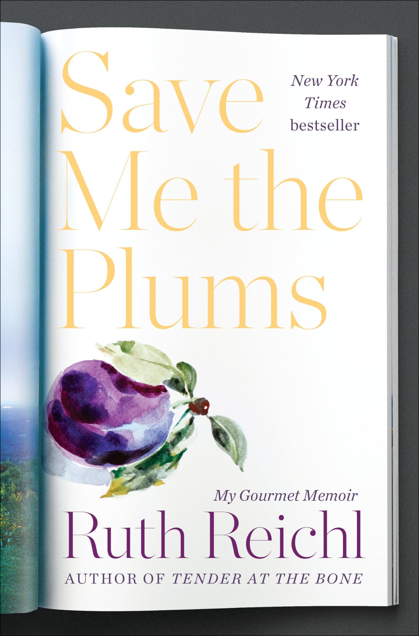 Save Me the Plums: My Gourmet Memoir The Happy Book Stack