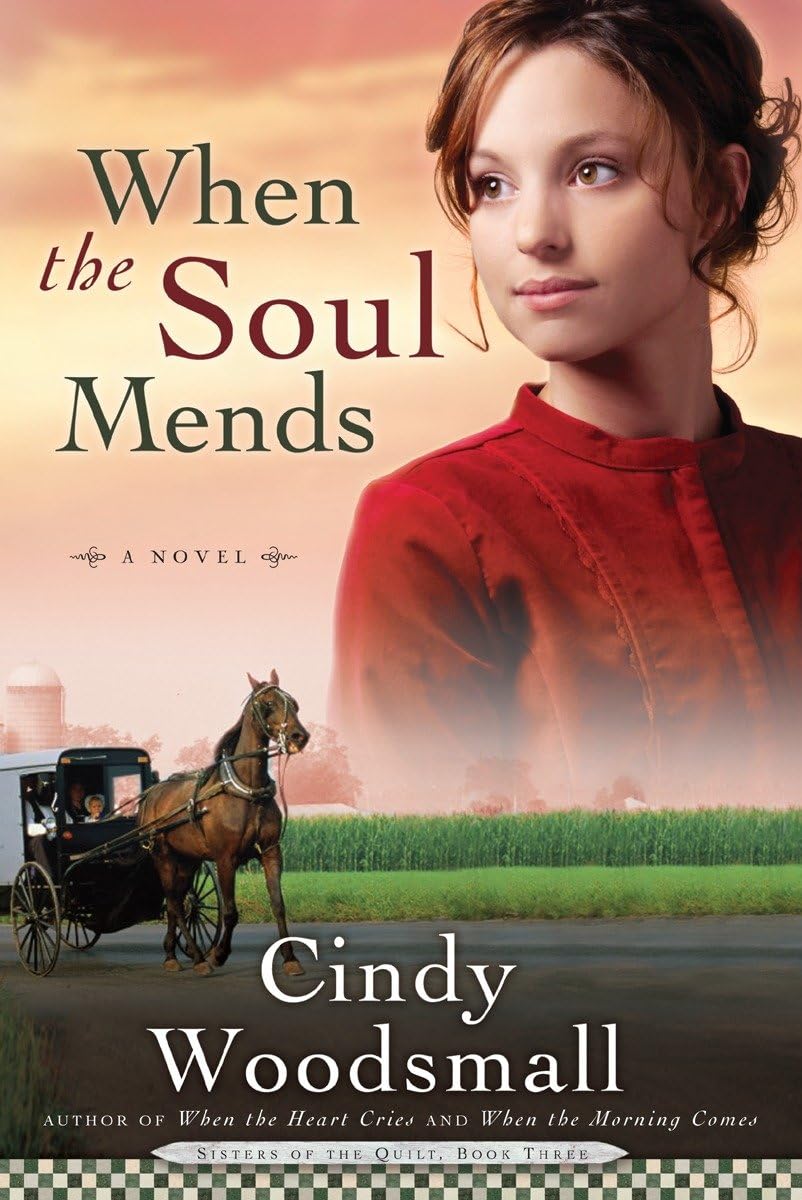 When the Soul Mends (Sisters of the Quilt, Book 3) The Happy Book Stack