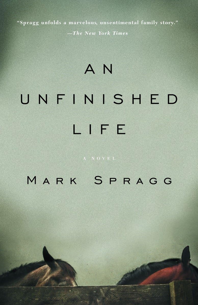 An Unfinished Life The Happy Book Stack